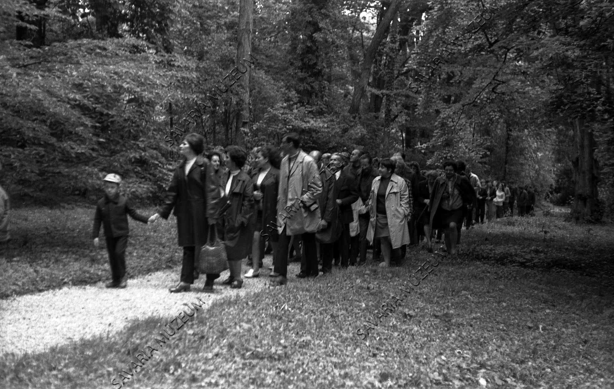 Kirándulók az arborétumban a Vas megyei Természetvédelmi Napok alkalmából (Savaria Megyei Hatókörű Városi Múzeum, Szombathely CC BY-NC-SA)