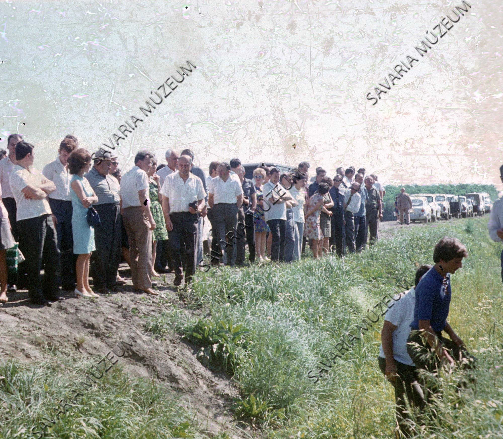 Meliorációs bemutató a szombathelyi talajjavító értekezlet alkalmából (Savaria Megyei Hatókörű Városi Múzeum, Szombathely CC BY-NC-SA)