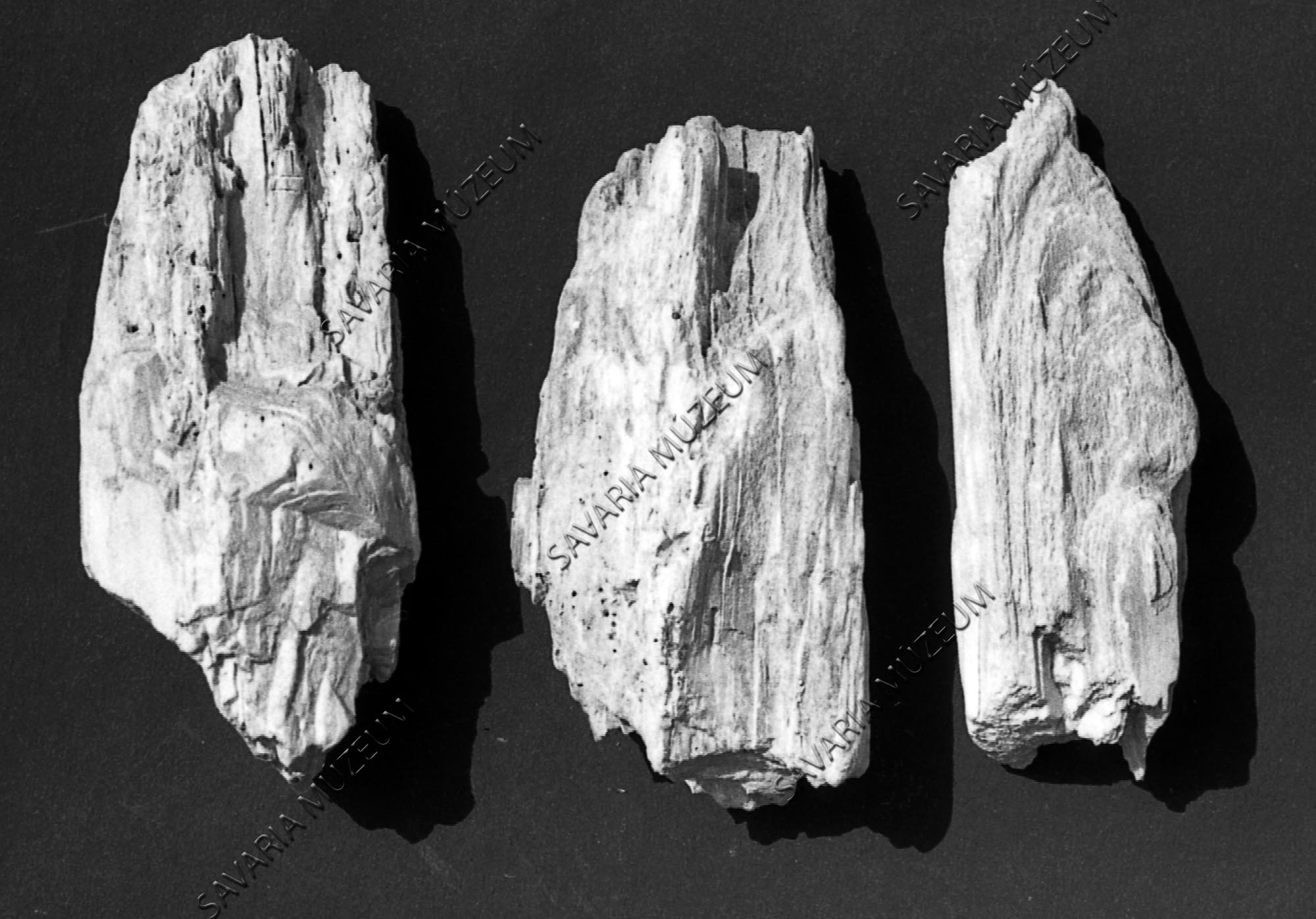 Faopálok a Nagycsádhegyről (Savaria Megyei Hatókörű Városi Múzeum, Szombathely CC BY-NC-SA)