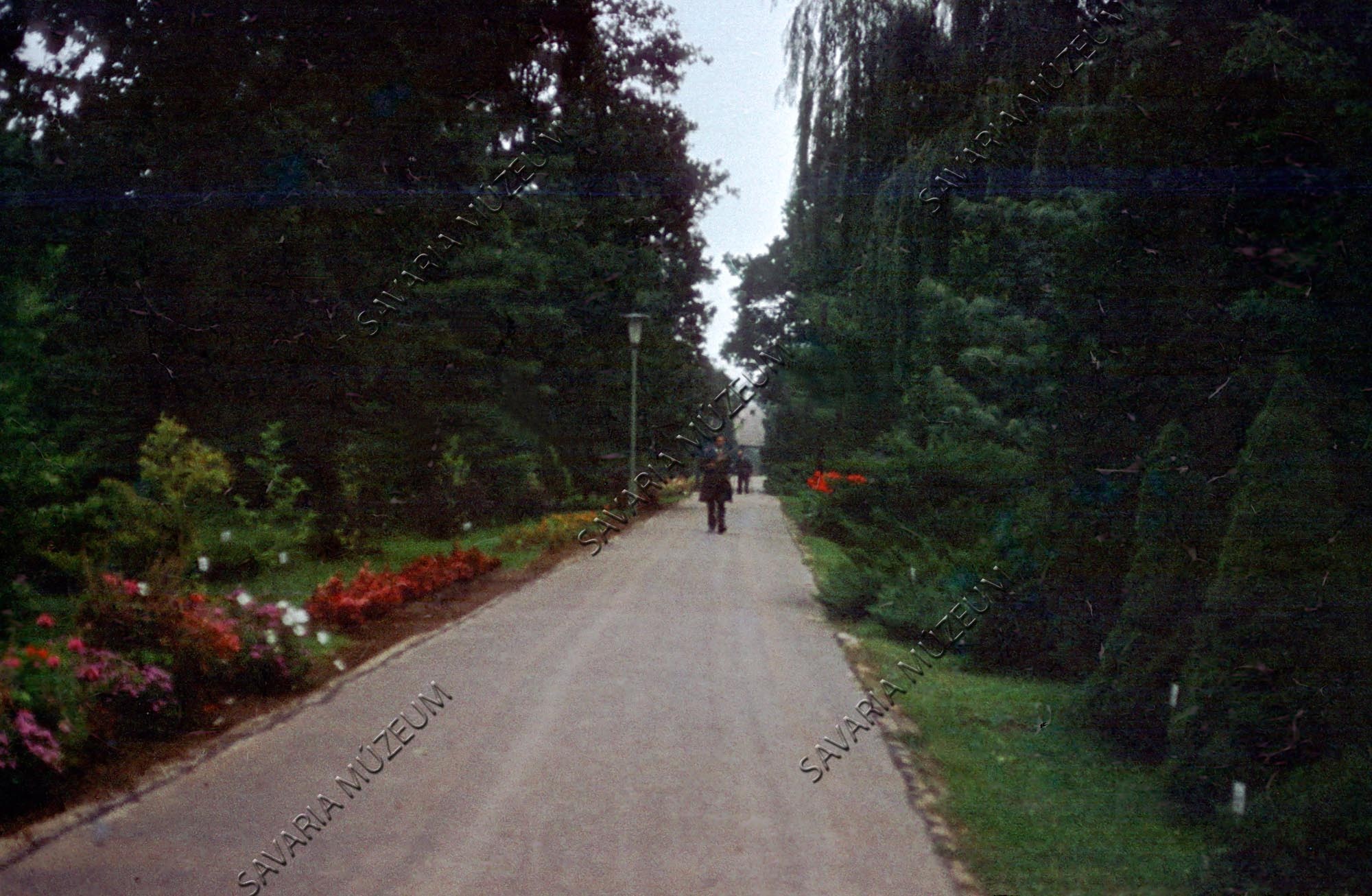 Botanikus kert főútja (Savaria Megyei Hatókörű Városi Múzeum, Szombathely CC BY-NC-SA)
