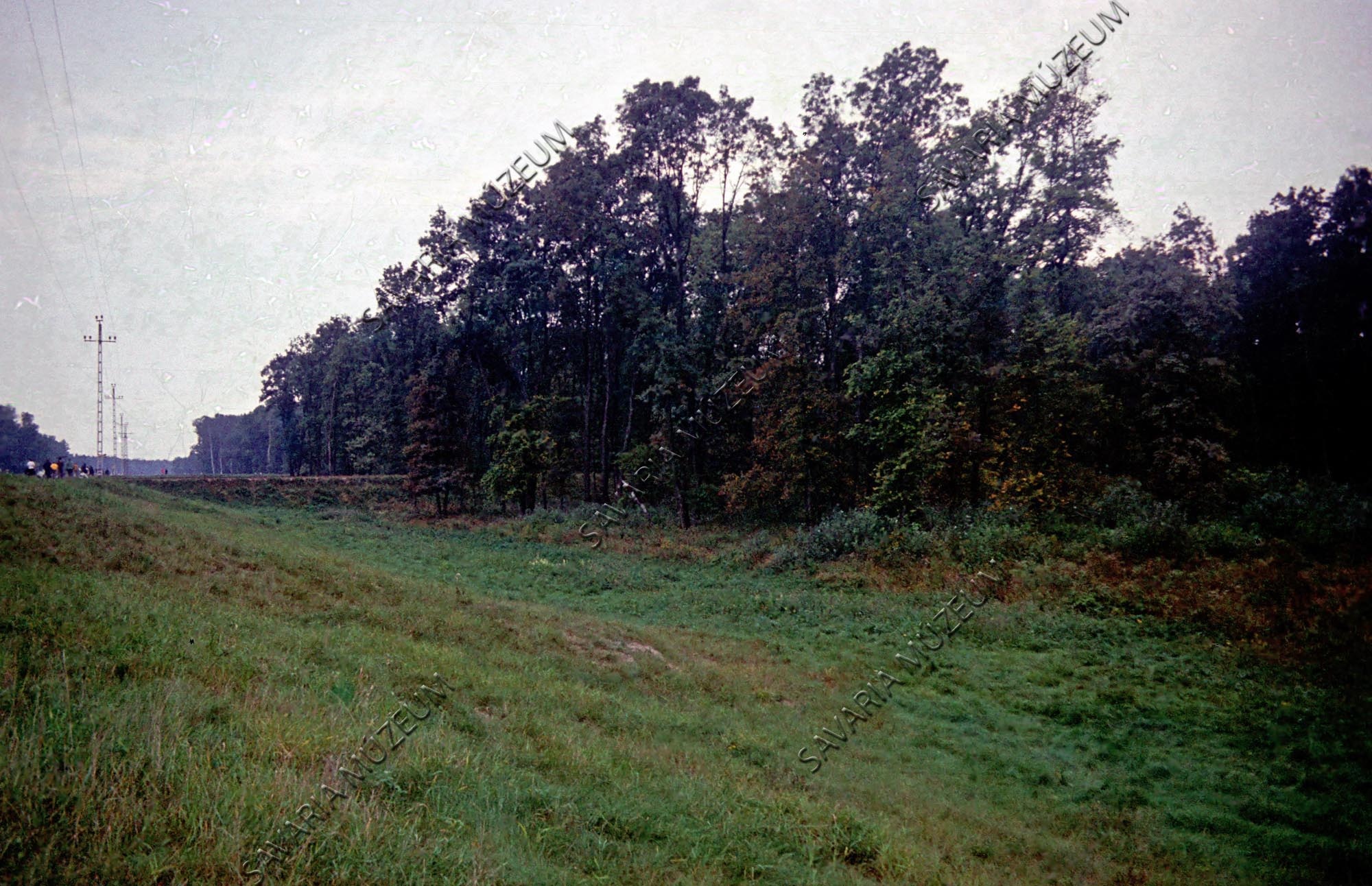 Gemenci erdő széle (Savaria Megyei Hatókörű Városi Múzeum, Szombathely CC BY-NC-SA)