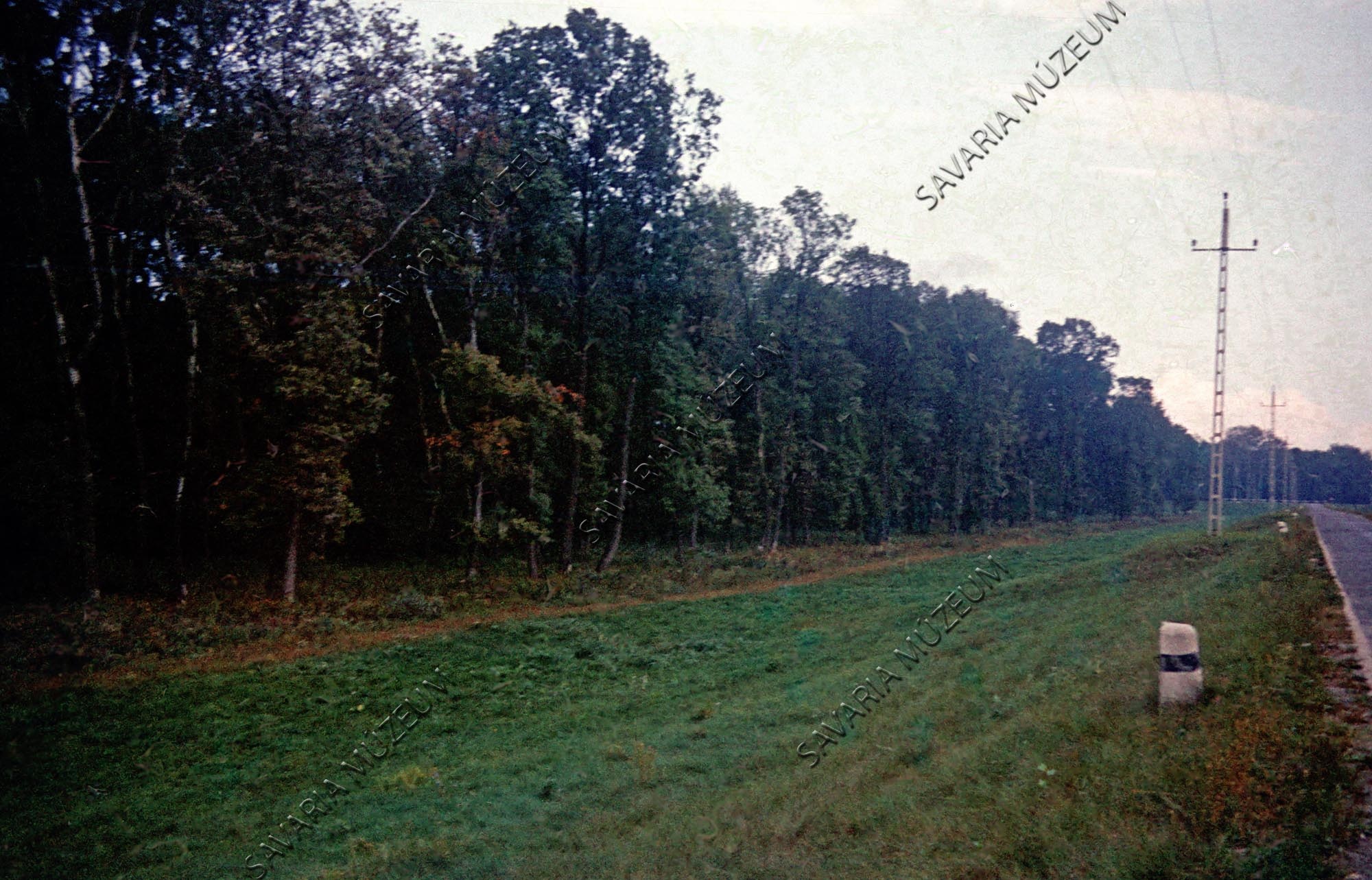 Gemenci erdő széle (Savaria Megyei Hatókörű Városi Múzeum, Szombathely CC BY-NC-SA)