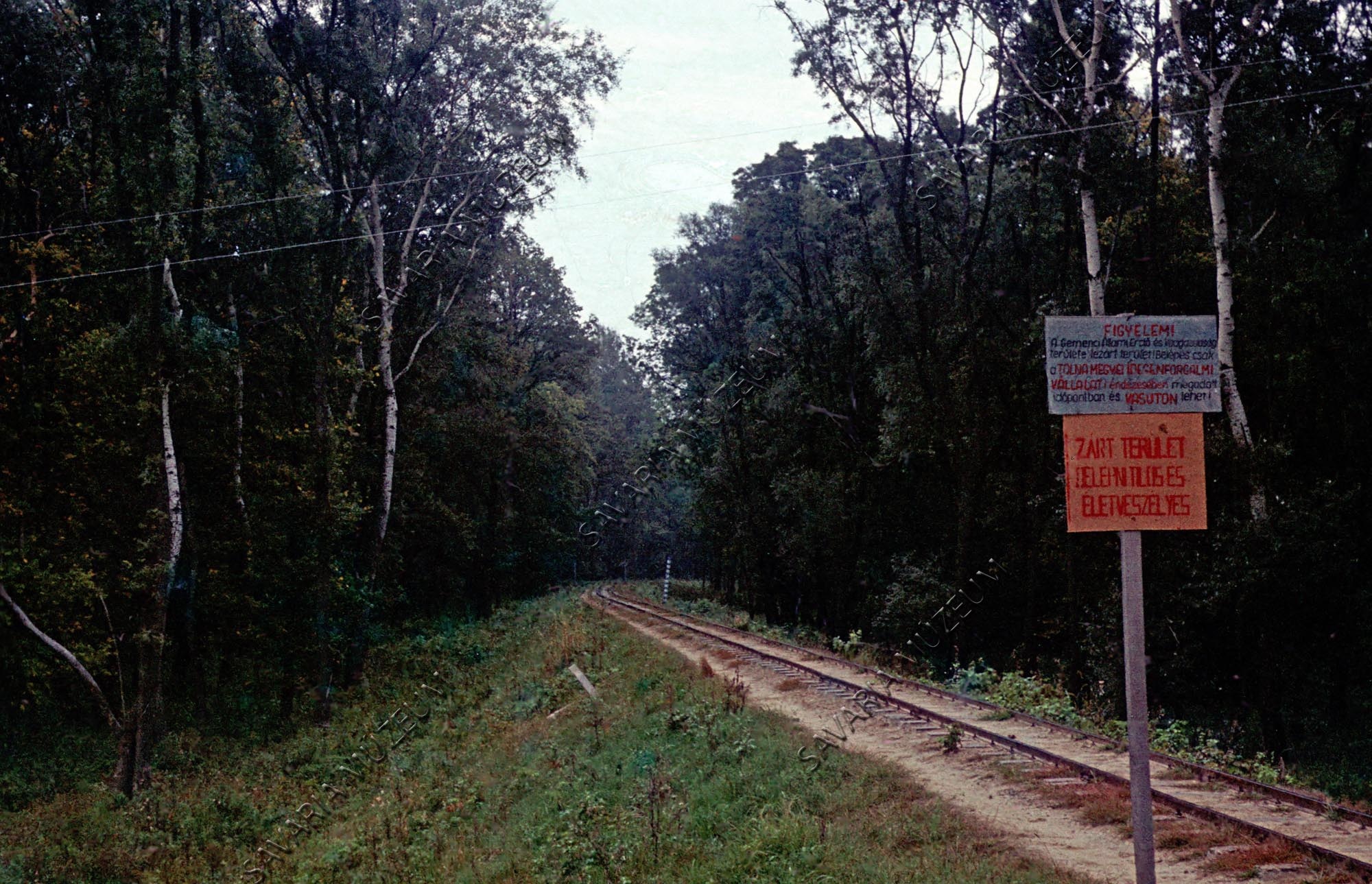 Kisvasút a Gemenci erdőben (Savaria Megyei Hatókörű Városi Múzeum, Szombathely CC BY-NC-SA)