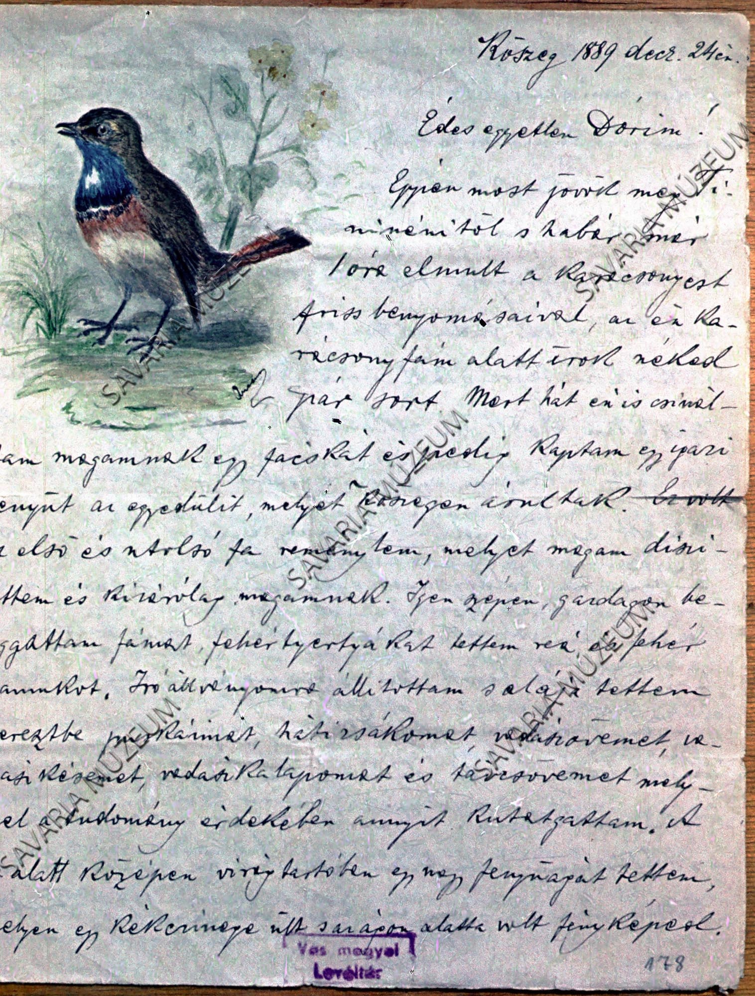 Chernel-levélaquarellel (Savaria Megyei Hatókörű Városi Múzeum, Szombathely CC BY-NC-SA)