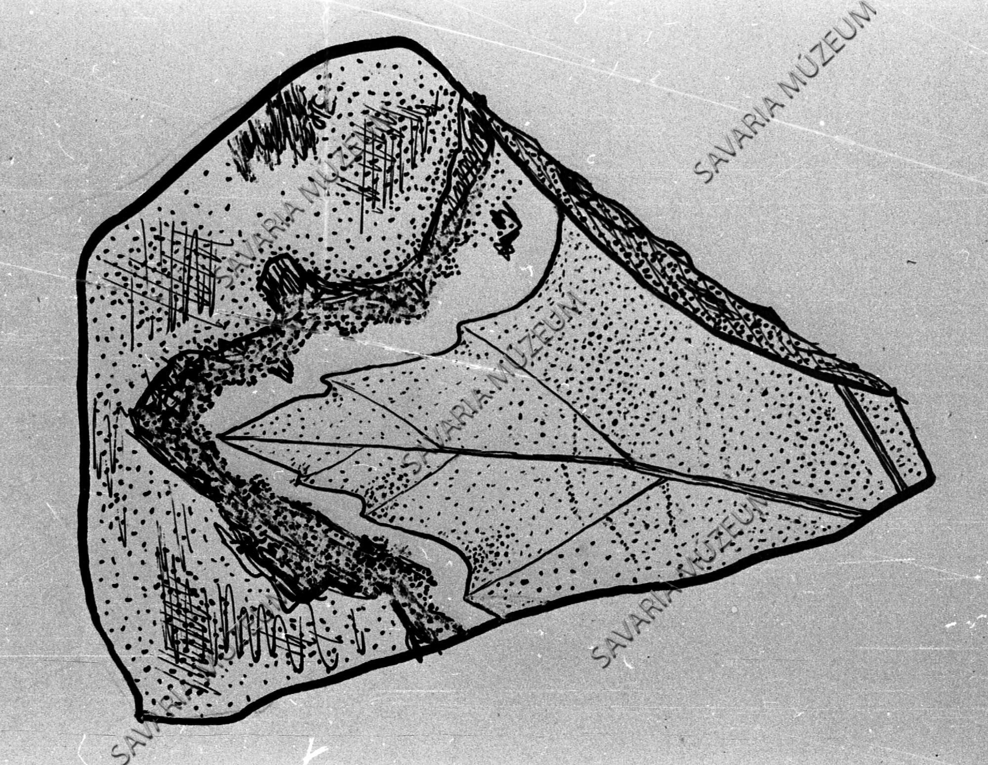 Acer tricuspidatum rajza Sé II-ből (Savaria Megyei Hatókörű Városi Múzeum, Szombathely CC BY-NC-SA)