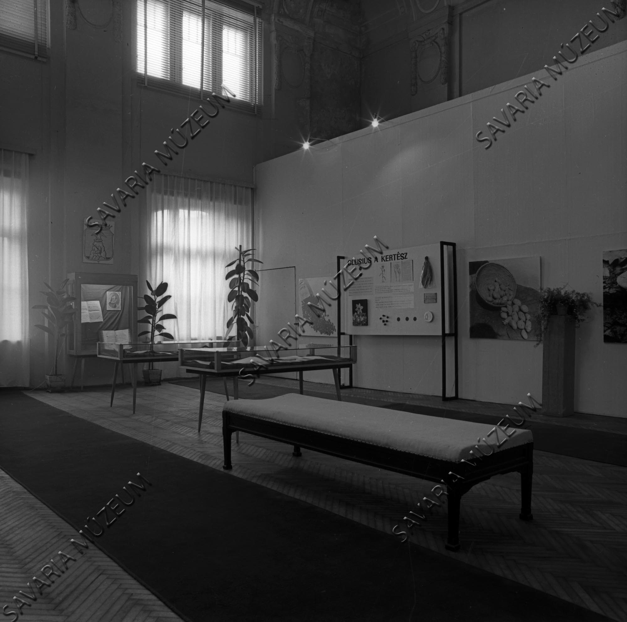 Clusius kiállítás (Savaria Megyei Hatókörű Városi Múzeum, Szombathely CC BY-NC-SA)