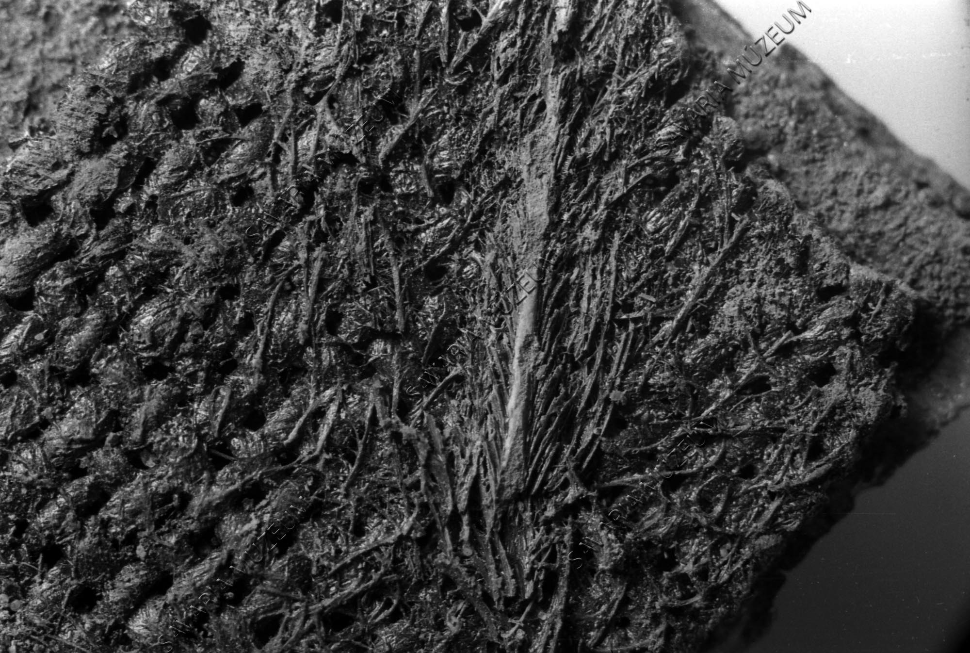 Textilmaradvány a környei temetőből pehelytollal (Savaria Megyei Hatókörű Városi Múzeum, Szombathely CC BY-NC-SA)