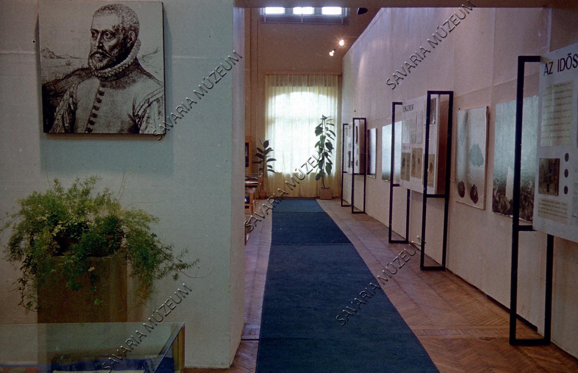 Clusius kiállítás a Savaria Múzeumban (Savaria Megyei Hatókörű Városi Múzeum, Szombathely CC BY-NC-SA)