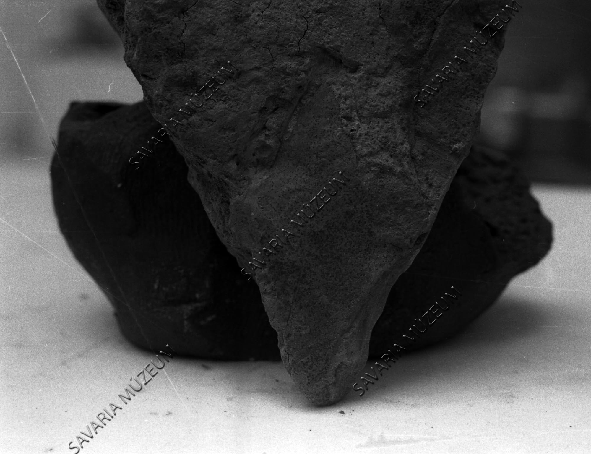 Acer tricuspidatum Bronn Sé II-ből (Savaria Megyei Hatókörű Városi Múzeum, Szombathely CC BY-NC-SA)