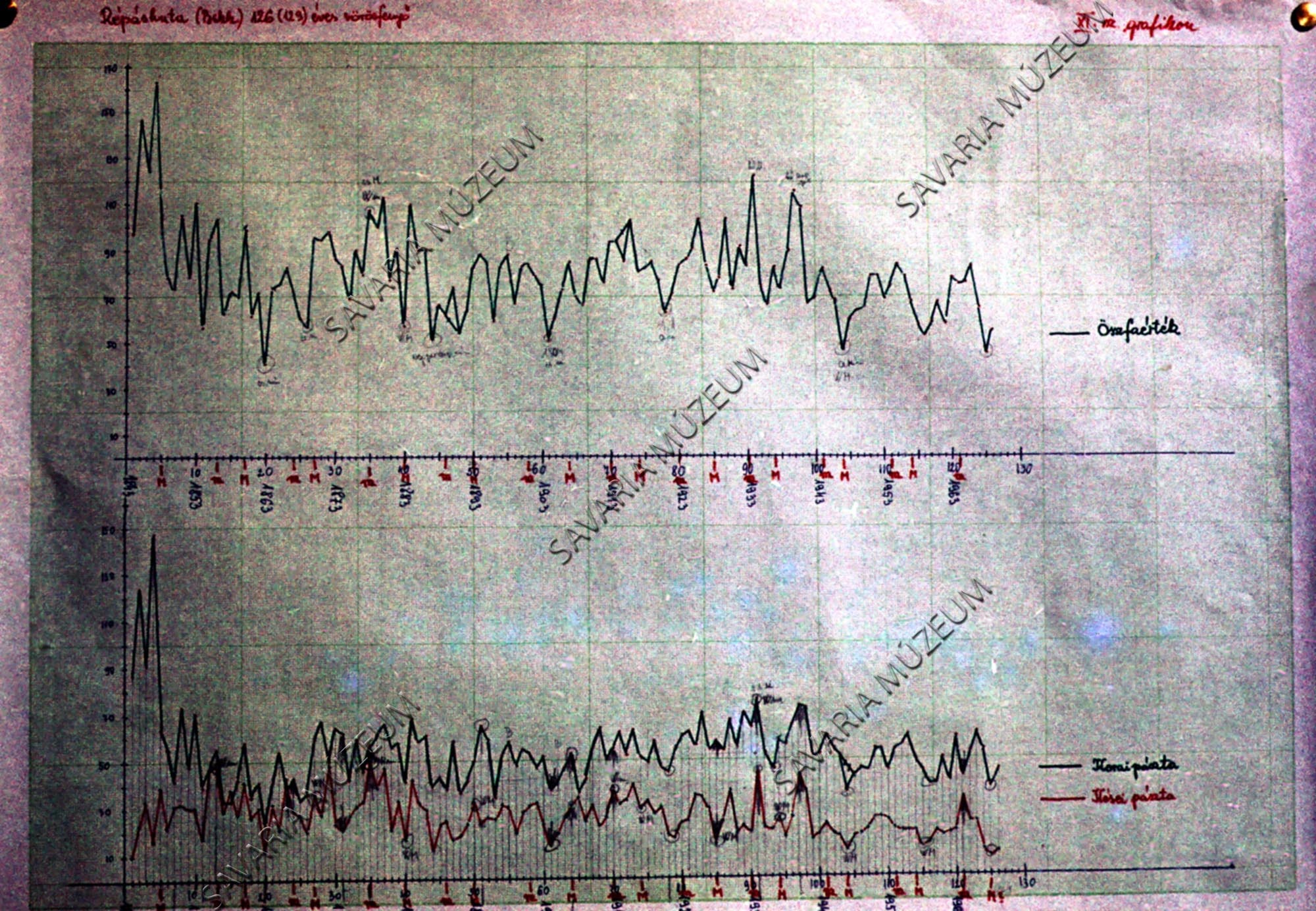 Grafikon: Répáshutai fenyő (Larix) adatai (Savaria Megyei Hatókörű Városi Múzeum, Szombathely CC BY-NC-SA)