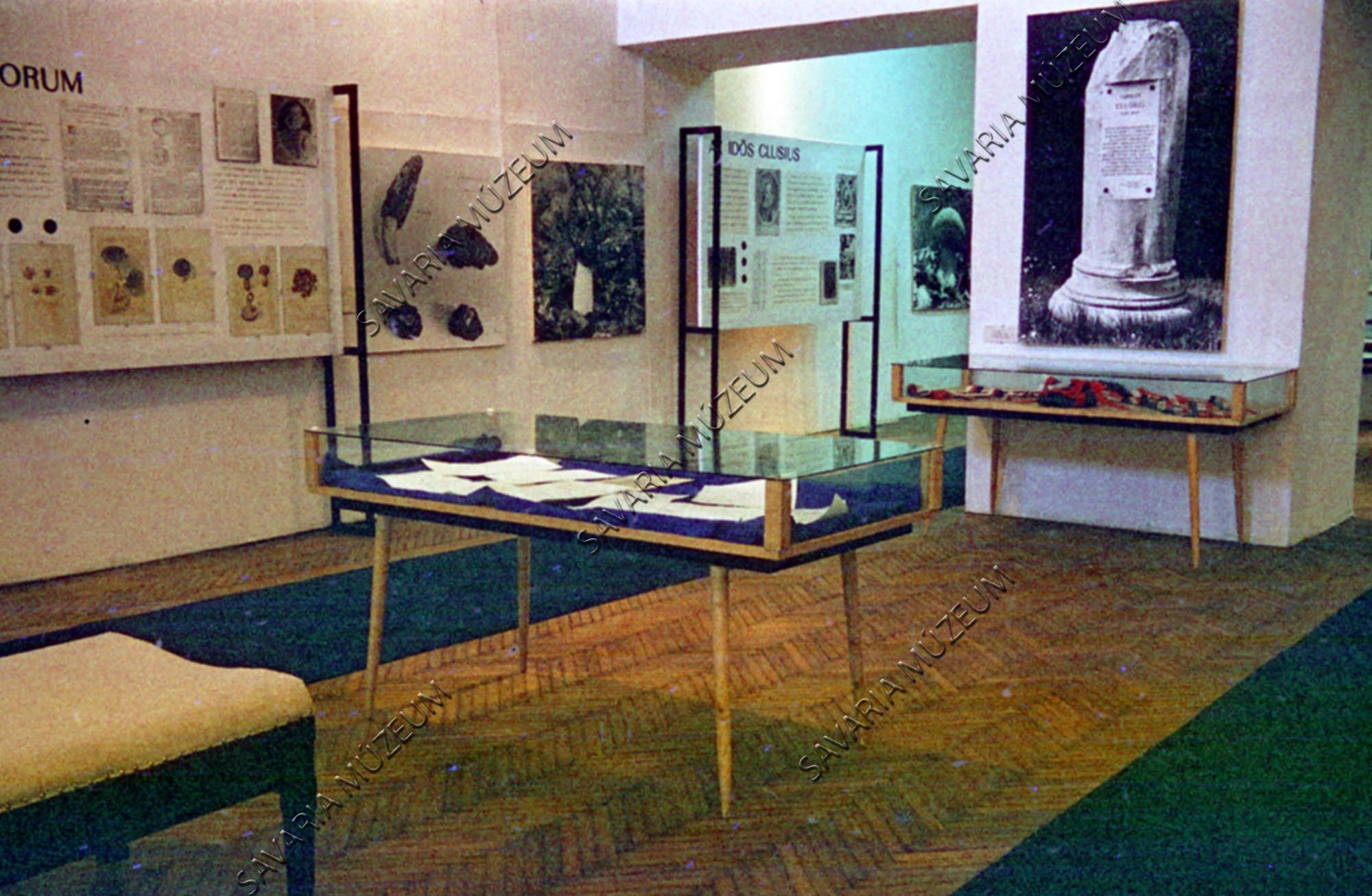 Clusius kiállítás (Savaria Megyei Hatókörű Városi Múzeum, Szombathely CC BY-NC-SA)
