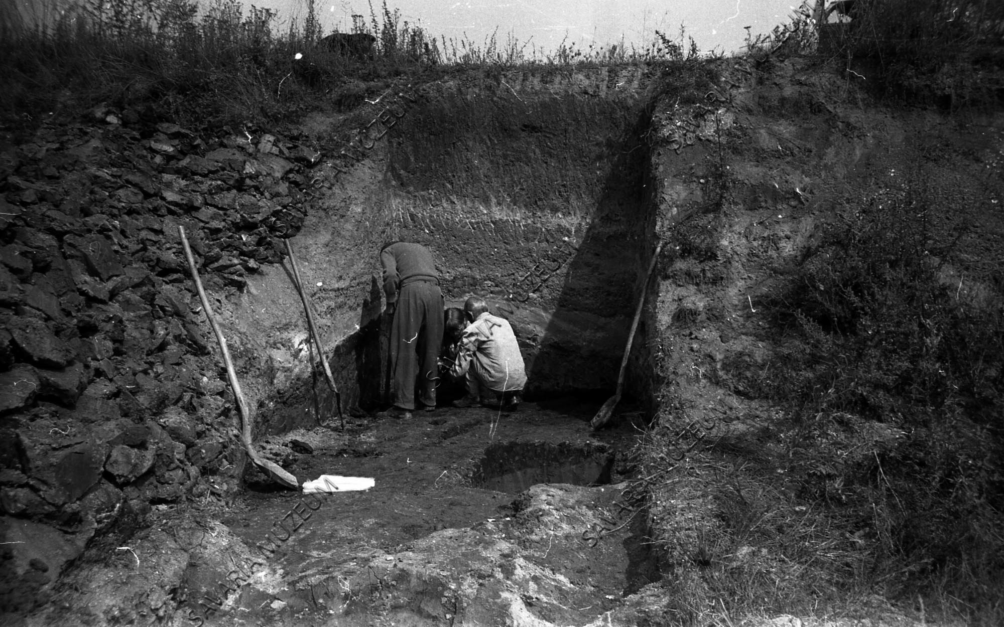 Tőzegtelep ásatása (Savaria Megyei Hatókörű Városi Múzeum, Szombathely CC BY-NC-SA)