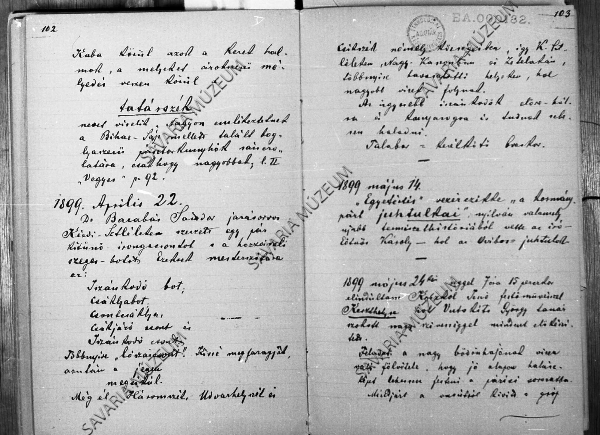 Herman Ottó napló részlete (Savaria Megyei Hatókörű Városi Múzeum, Szombathely CC BY-NC-SA)