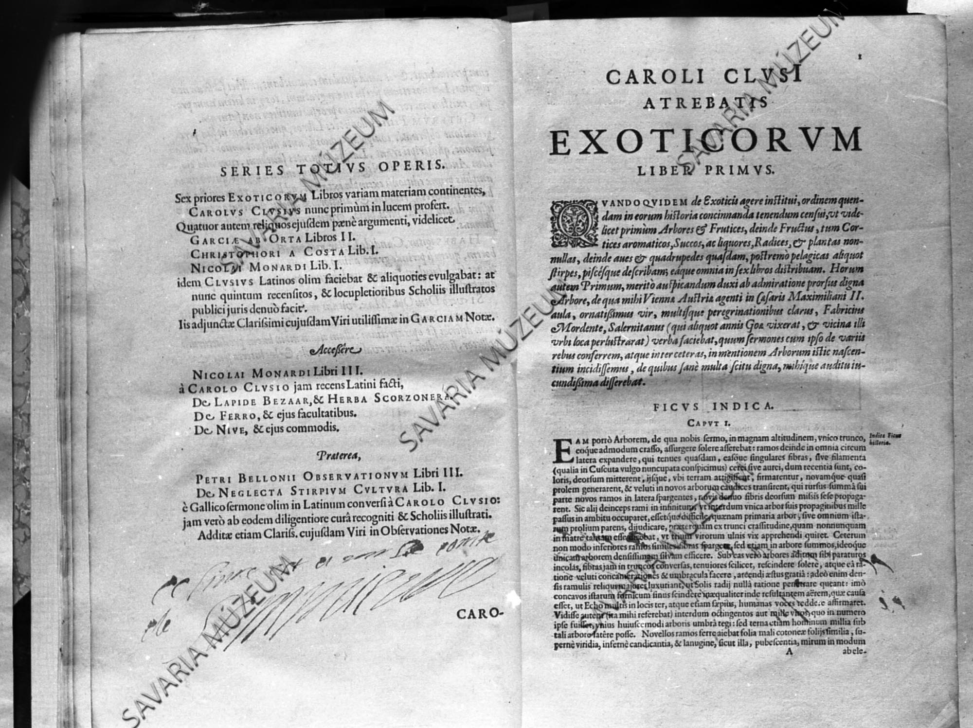 Clusius: Exoticorum (Savaria Megyei Hatókörű Városi Múzeum, Szombathely CC BY-NC-SA)