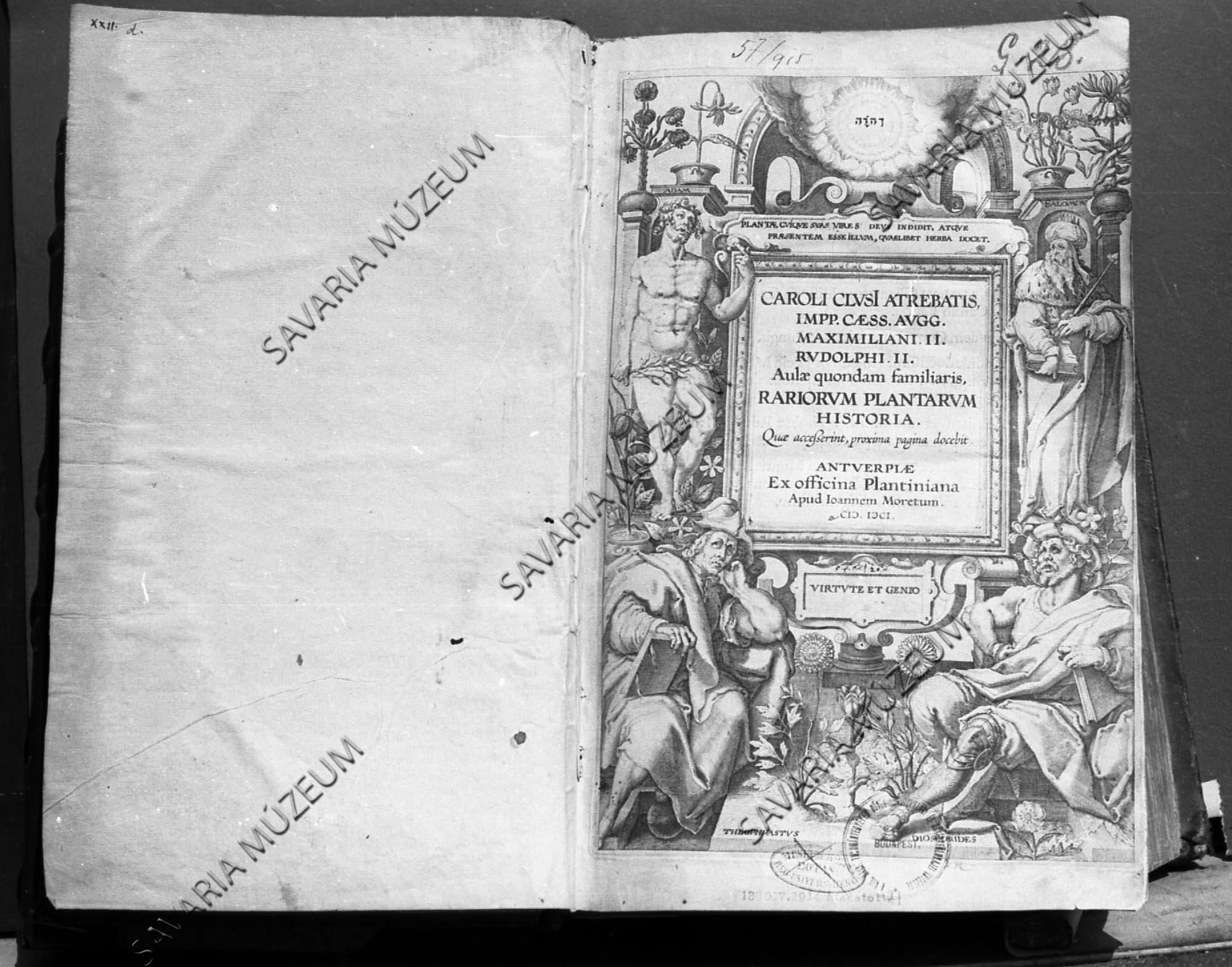Clusius: Plantanum címlap (Savaria Megyei Hatókörű Városi Múzeum, Szombathely CC BY-NC-SA)