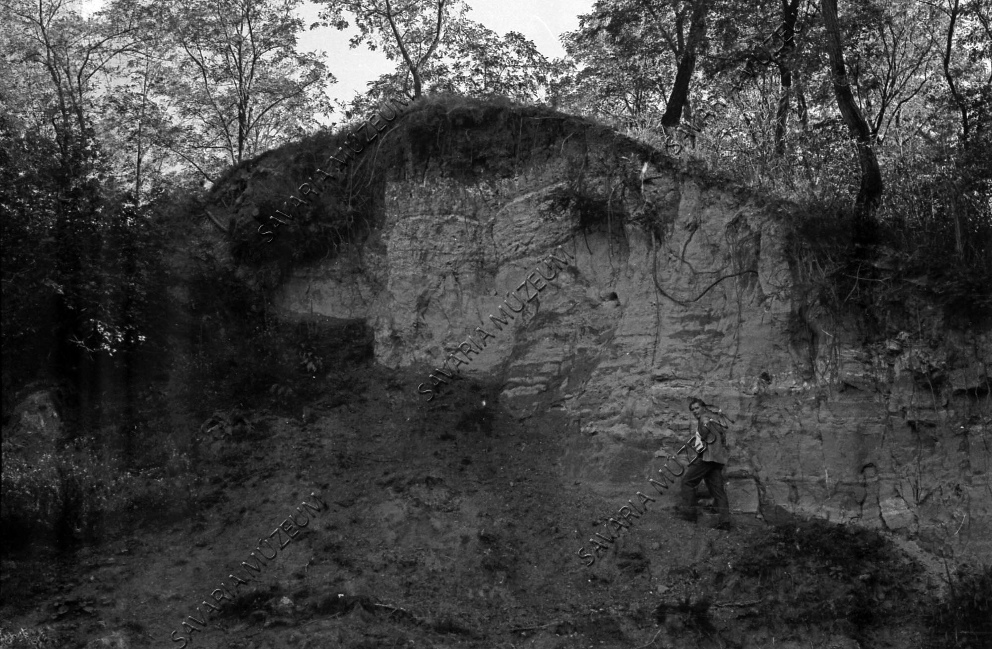 Pliocén domb feltárása (Savaria Megyei Hatókörű Városi Múzeum, Szombathely CC BY-NC-SA)