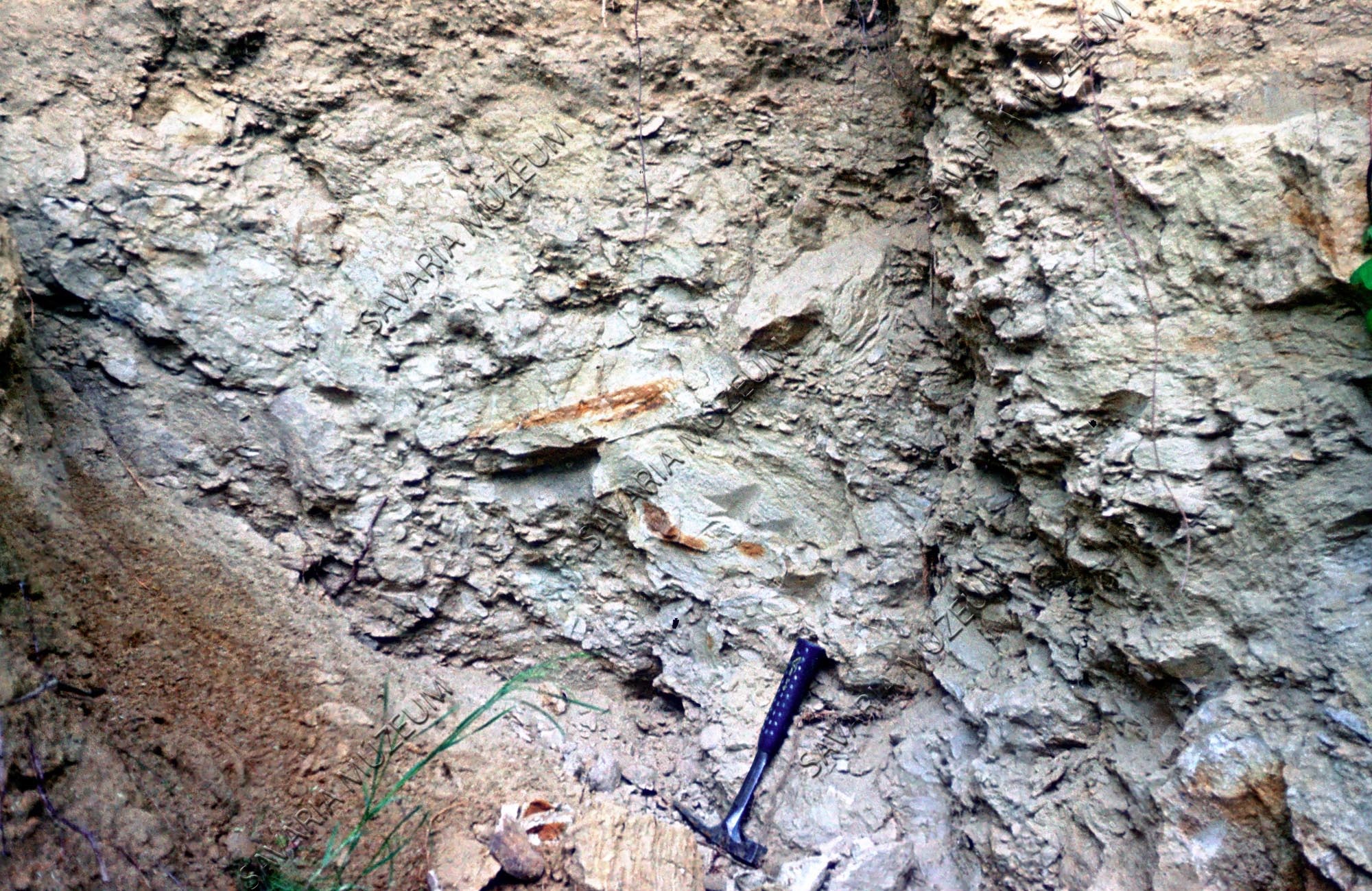 Agyagkavicsos réteg a keresztrétegzett homok között (Savaria Megyei Hatókörű Városi Múzeum, Szombathely CC BY-NC-SA)