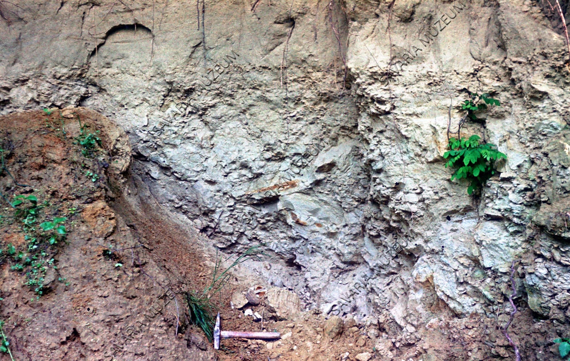 Agyagkavicsos réteg (Savaria Megyei Hatókörű Városi Múzeum, Szombathely CC BY-NC-SA)