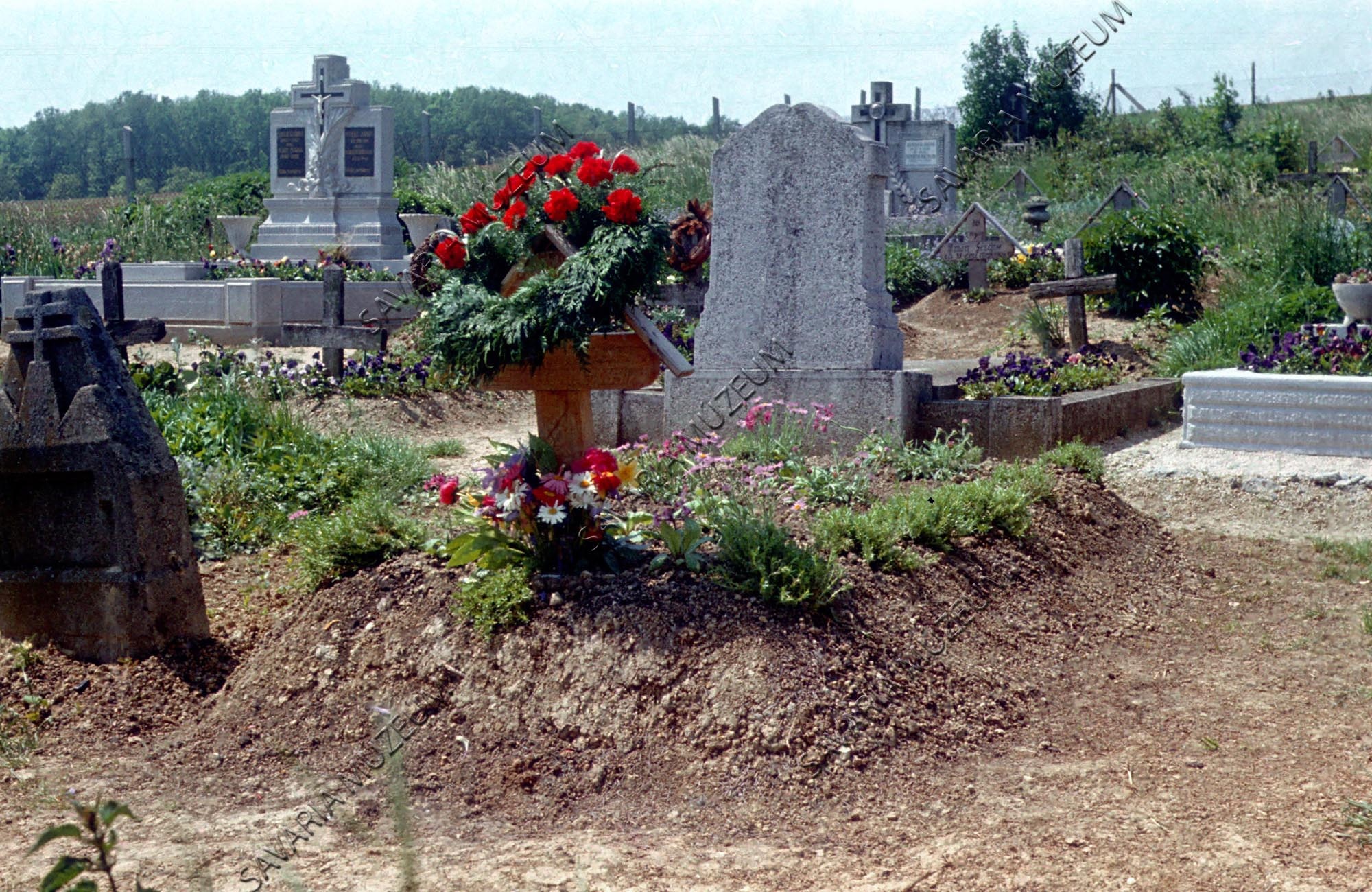 Molnár Gyula sírja (Savaria Megyei Hatókörű Városi Múzeum, Szombathely CC BY-NC-SA)