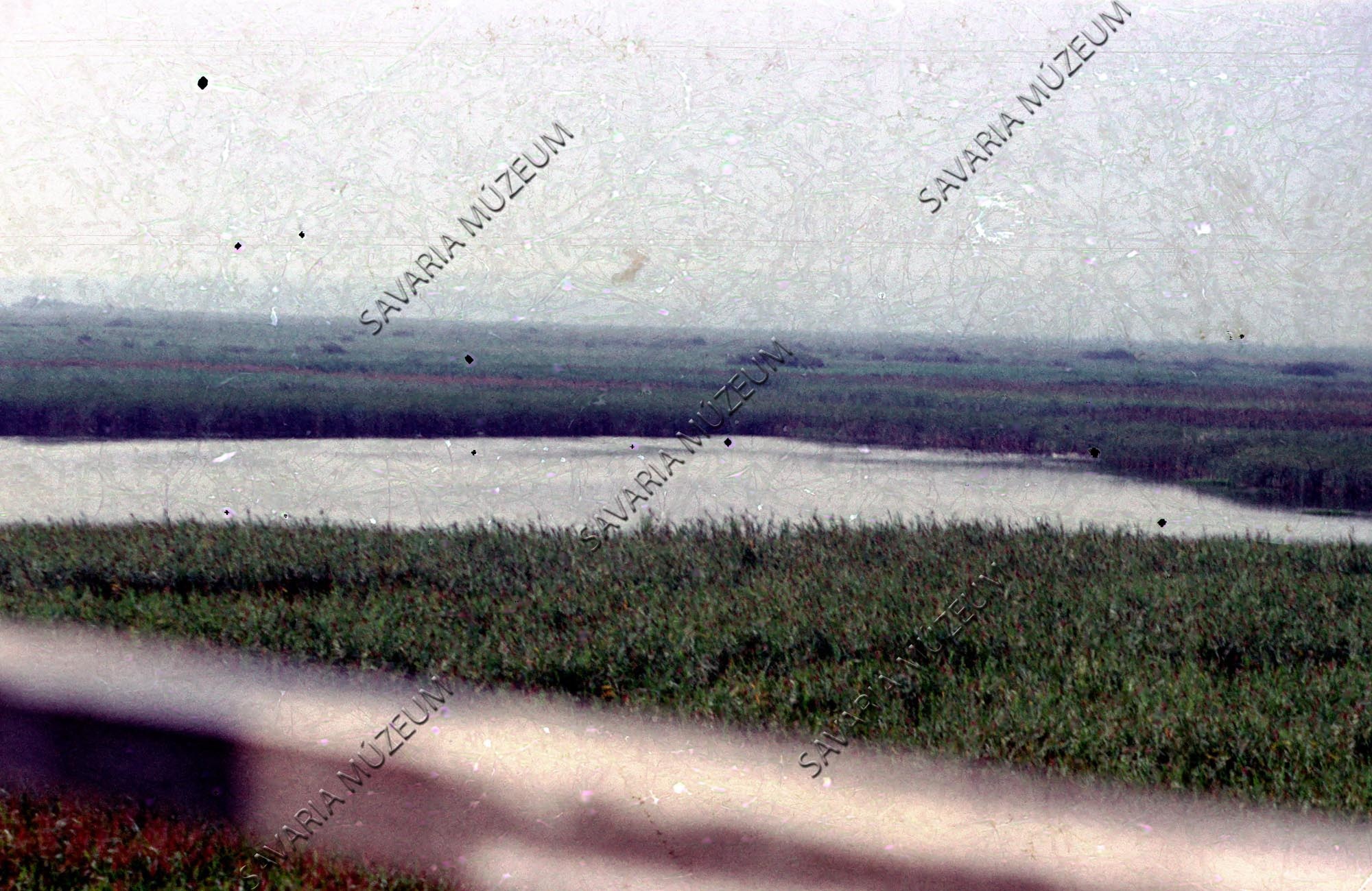 Kis-Balaton nyílt vize (Savaria Megyei Hatókörű Városi Múzeum, Szombathely CC BY-NC-SA)