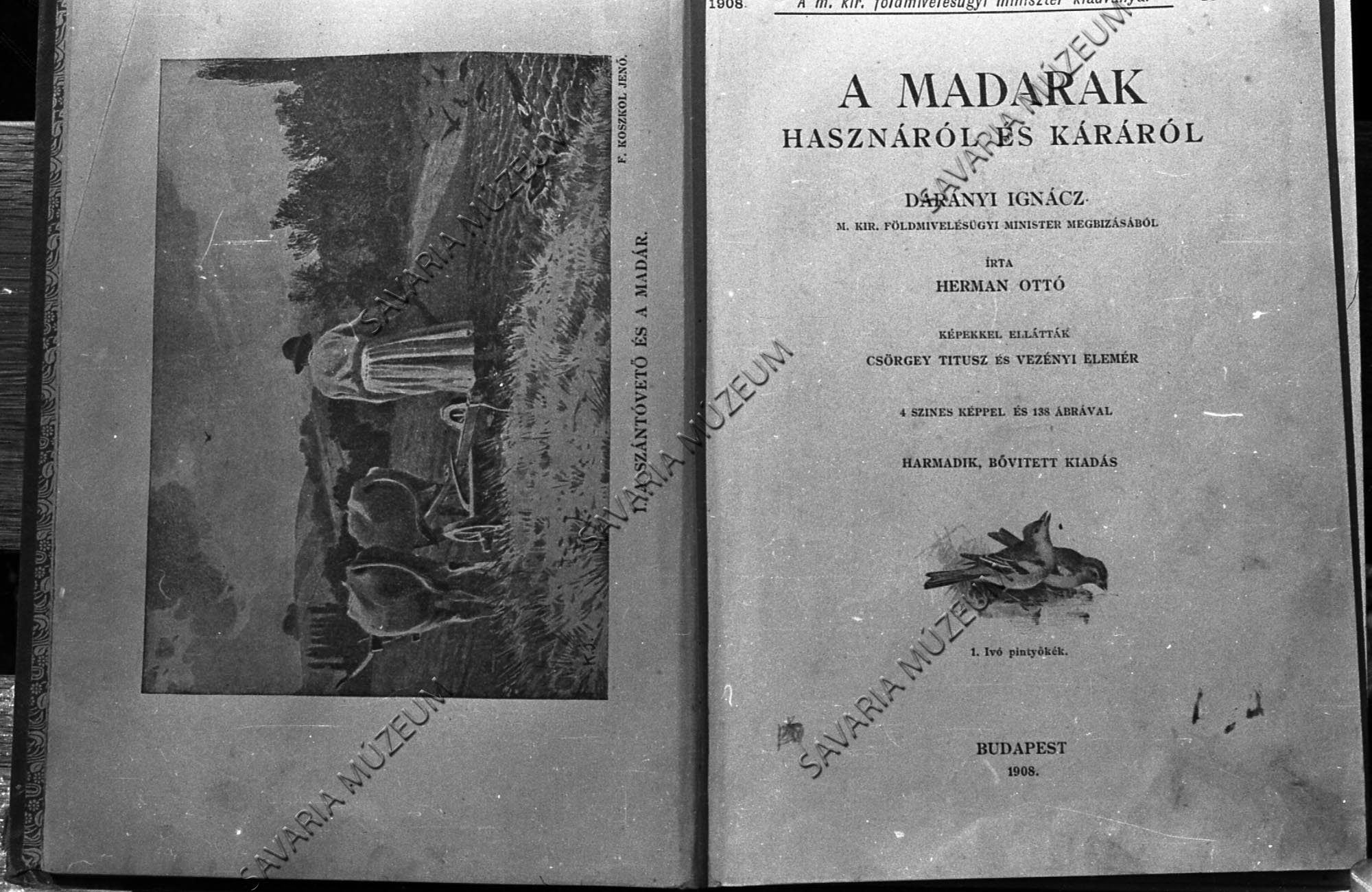 Herman Ottó könyvének címlapja (Savaria Megyei Hatókörű Városi Múzeum, Szombathely CC BY-NC-SA)