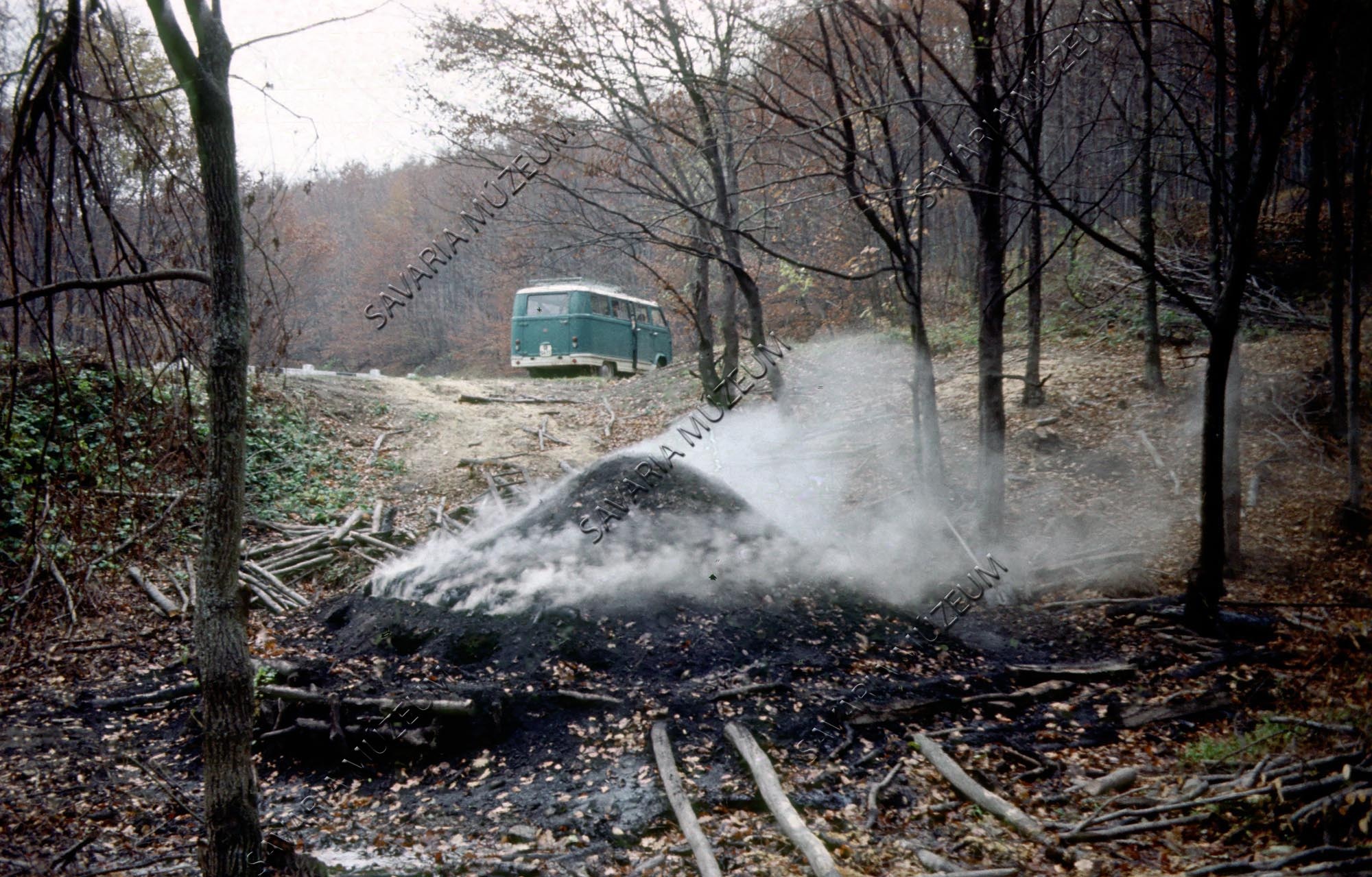 Faszénégetés (Savaria Megyei Hatókörű Városi Múzeum, Szombathely CC BY-NC-SA)