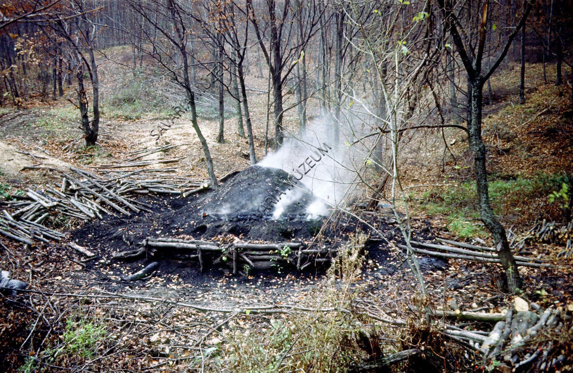 Faszénégetés (Savaria Megyei Hatókörű Városi Múzeum, Szombathely CC BY-NC-SA)