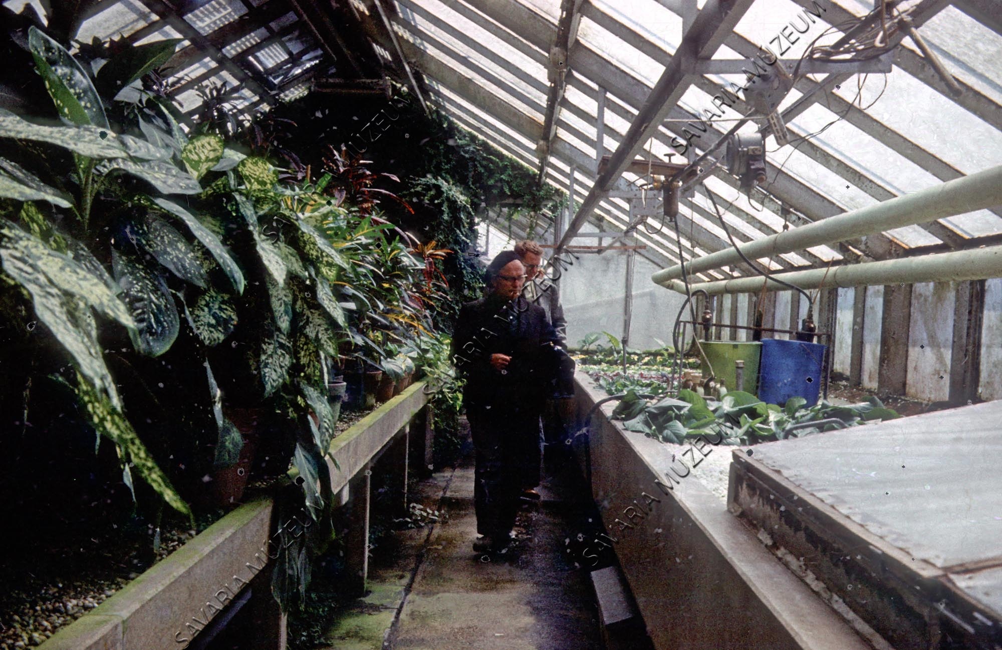 Botanikus-kert üvegháza (Savaria Megyei Hatókörű Városi Múzeum, Szombathely CC BY-NC-SA)