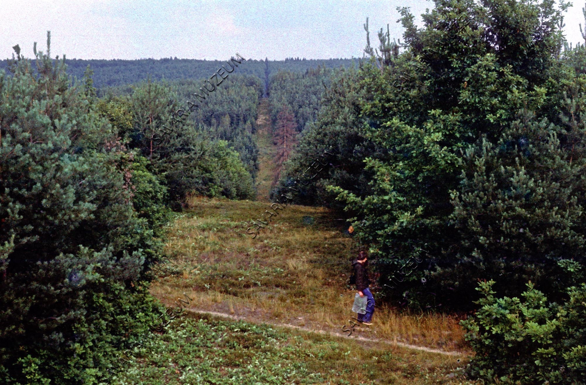 Kilátás a lesről (Savaria Megyei Hatókörű Városi Múzeum, Szombathely CC BY-NC-SA)