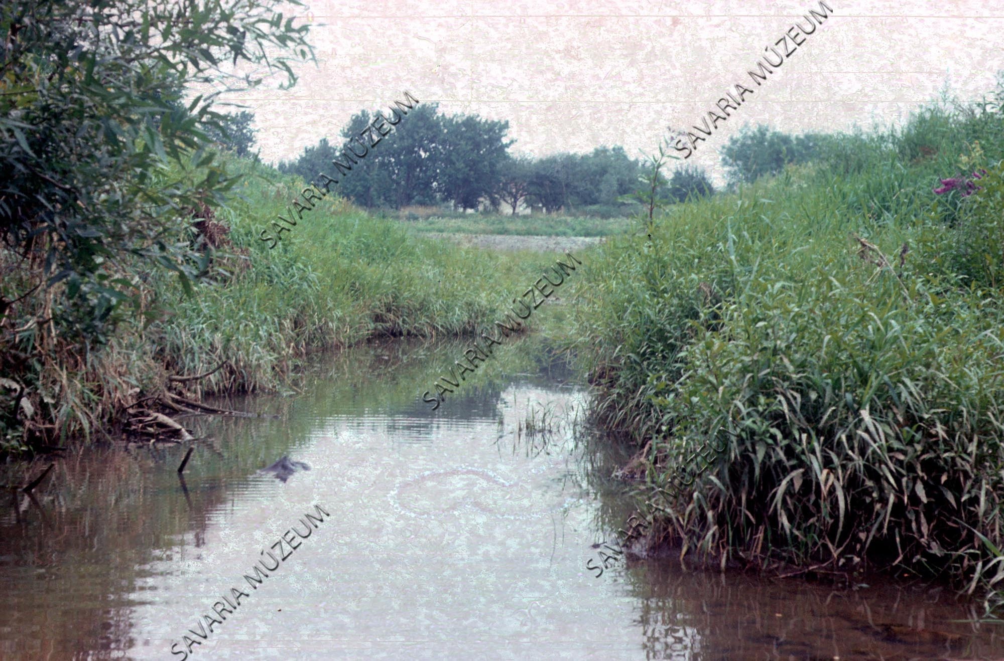 Perint-patak (Savaria Megyei Hatókörű Városi Múzeum, Szombathely CC BY-NC-SA)