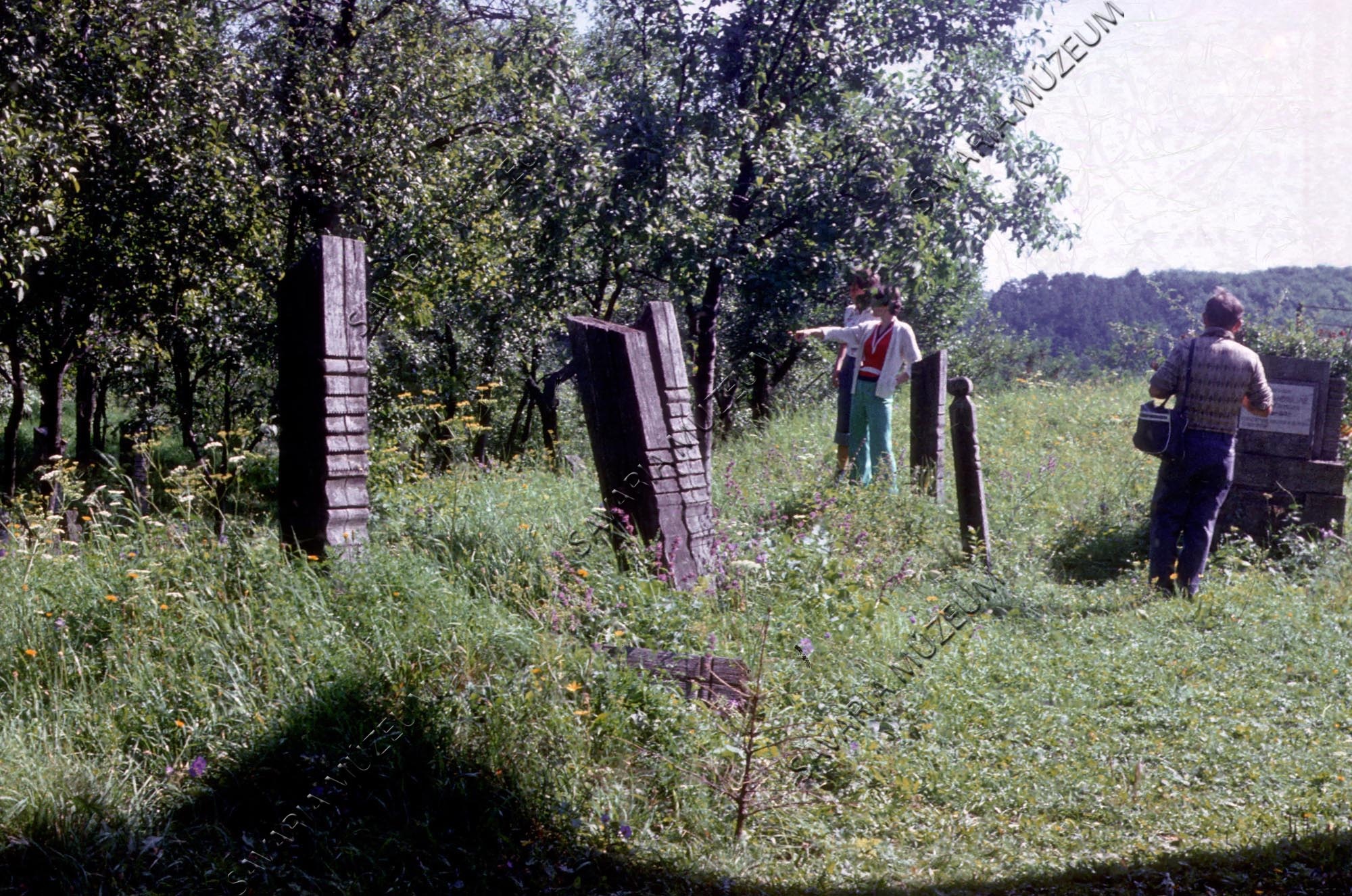 Kopjafás temető (Savaria Megyei Hatókörű Városi Múzeum, Szombathely CC BY-NC-SA)