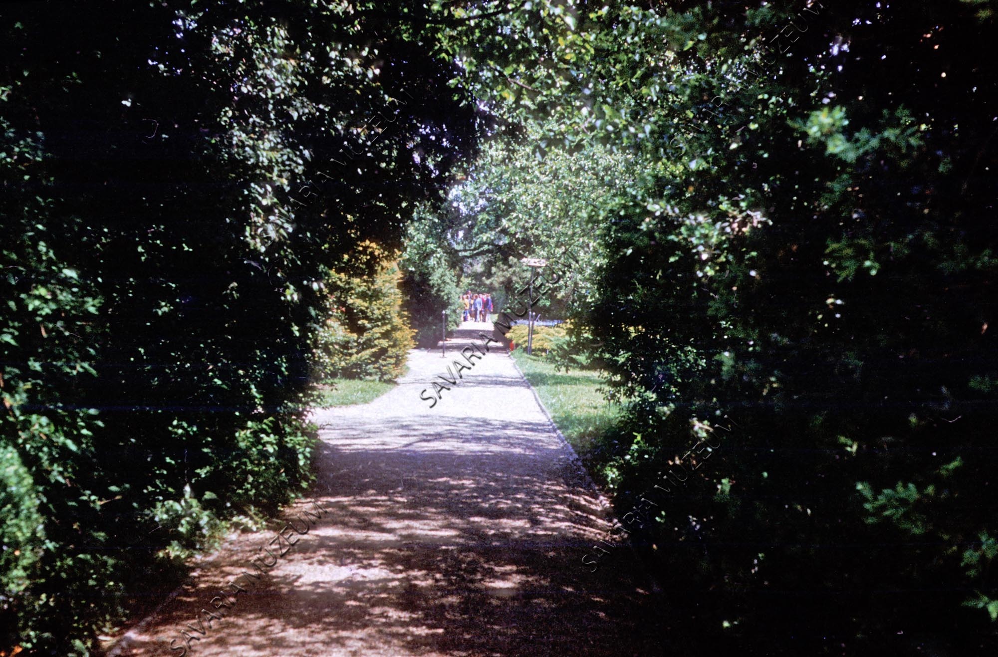 Arborétum bejárati útja (Savaria Megyei Hatókörű Városi Múzeum, Szombathely CC BY-NC-SA)