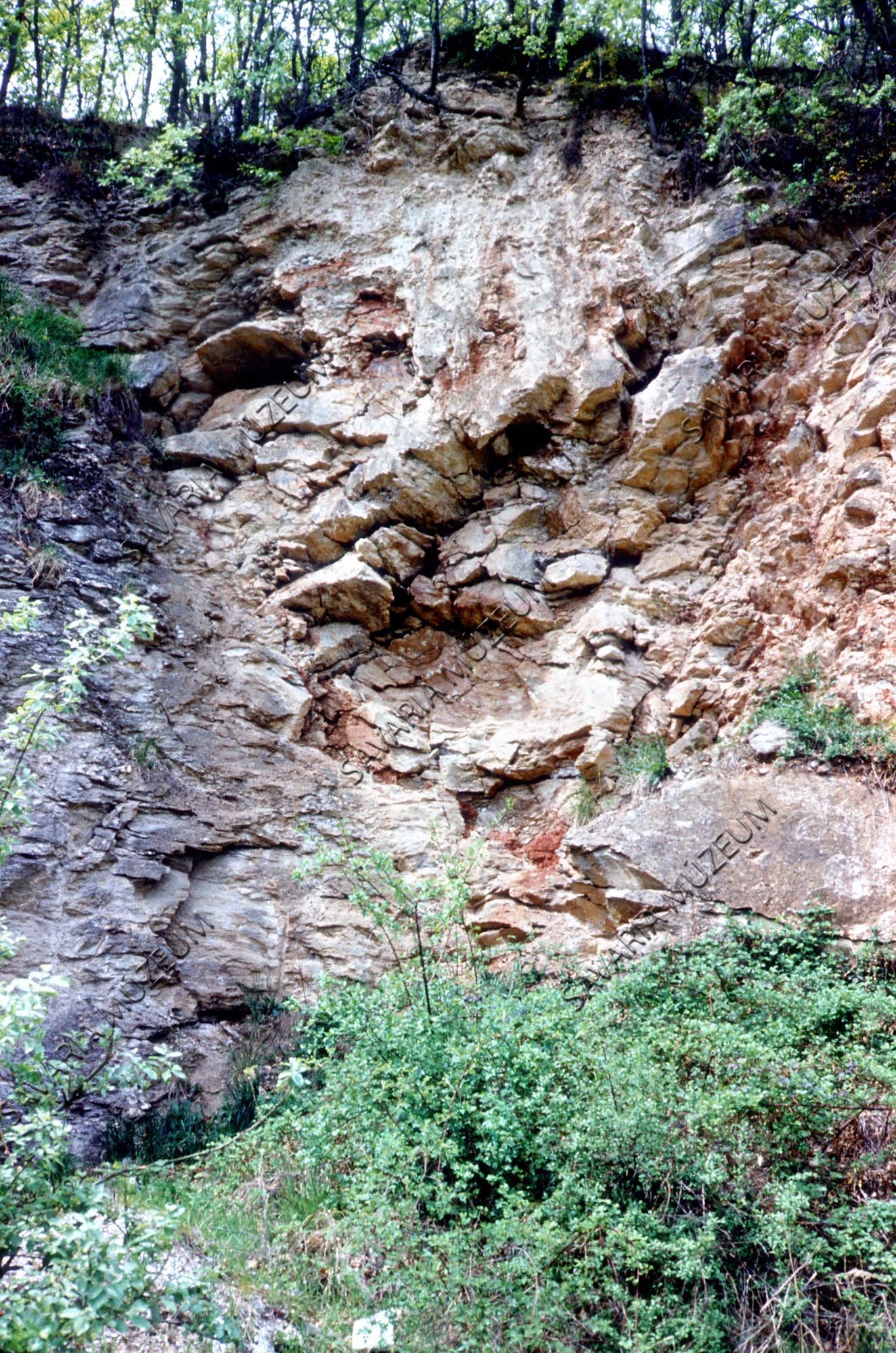Kőbánya részlet bauxit nyomokkal (Savaria Megyei Hatókörű Városi Múzeum, Szombathely CC BY-NC-SA)