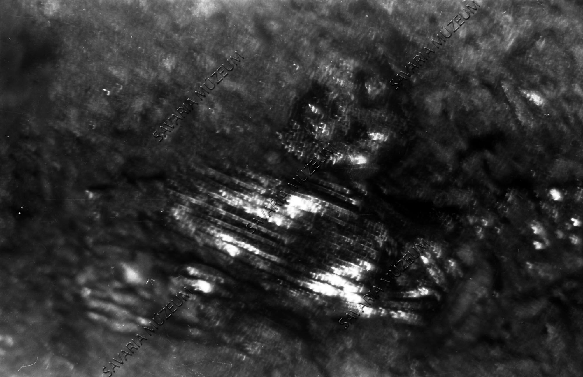 Bogár töredékek az oladi tőzegben (Savaria Megyei Hatókörű Városi Múzeum, Szombathely CC BY-NC-SA)