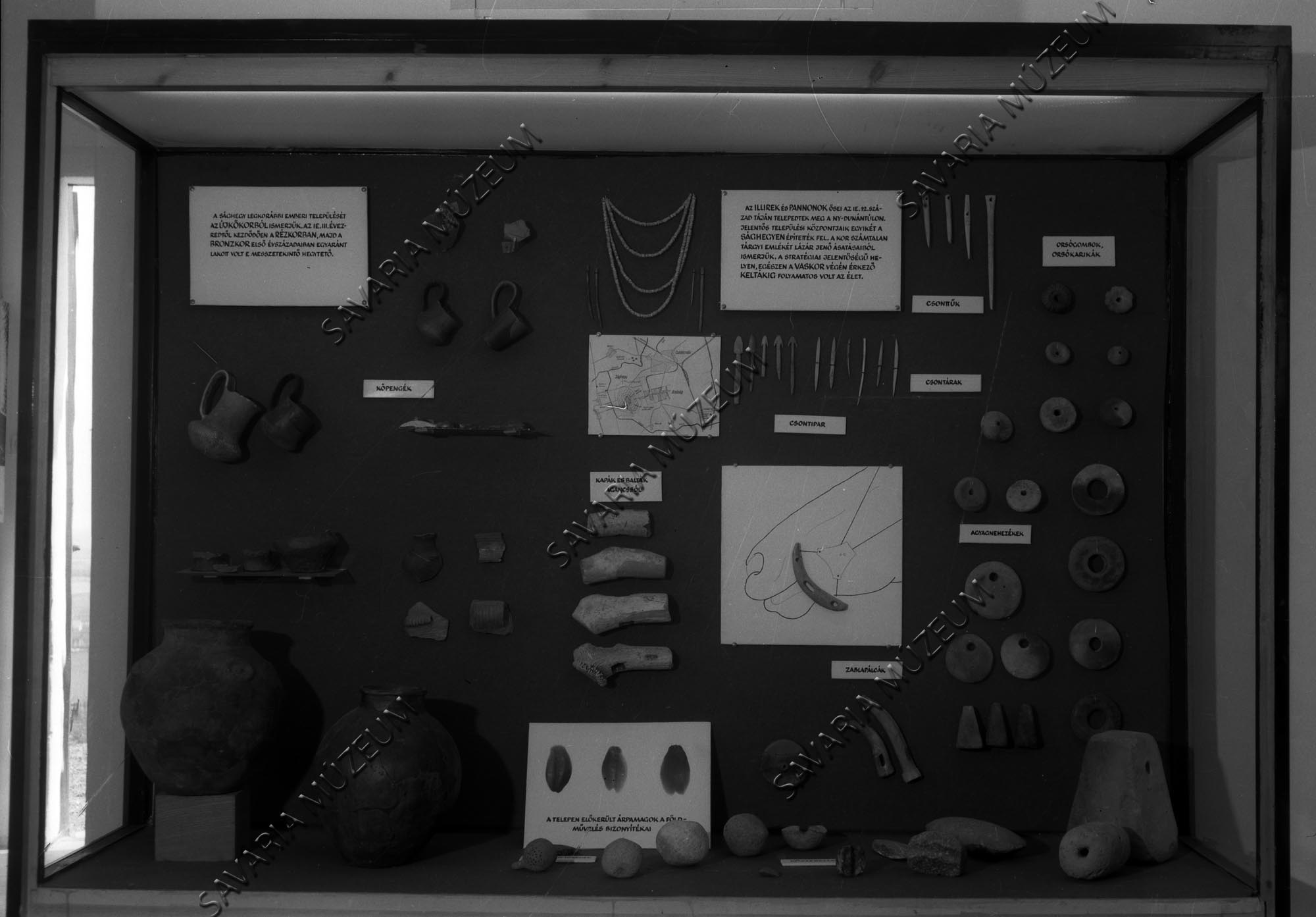 Sághegyi Múzeum I. tárolója: Őskor I. (Savaria Megyei Hatókörű Városi Múzeum, Szombathely CC BY-NC-SA)