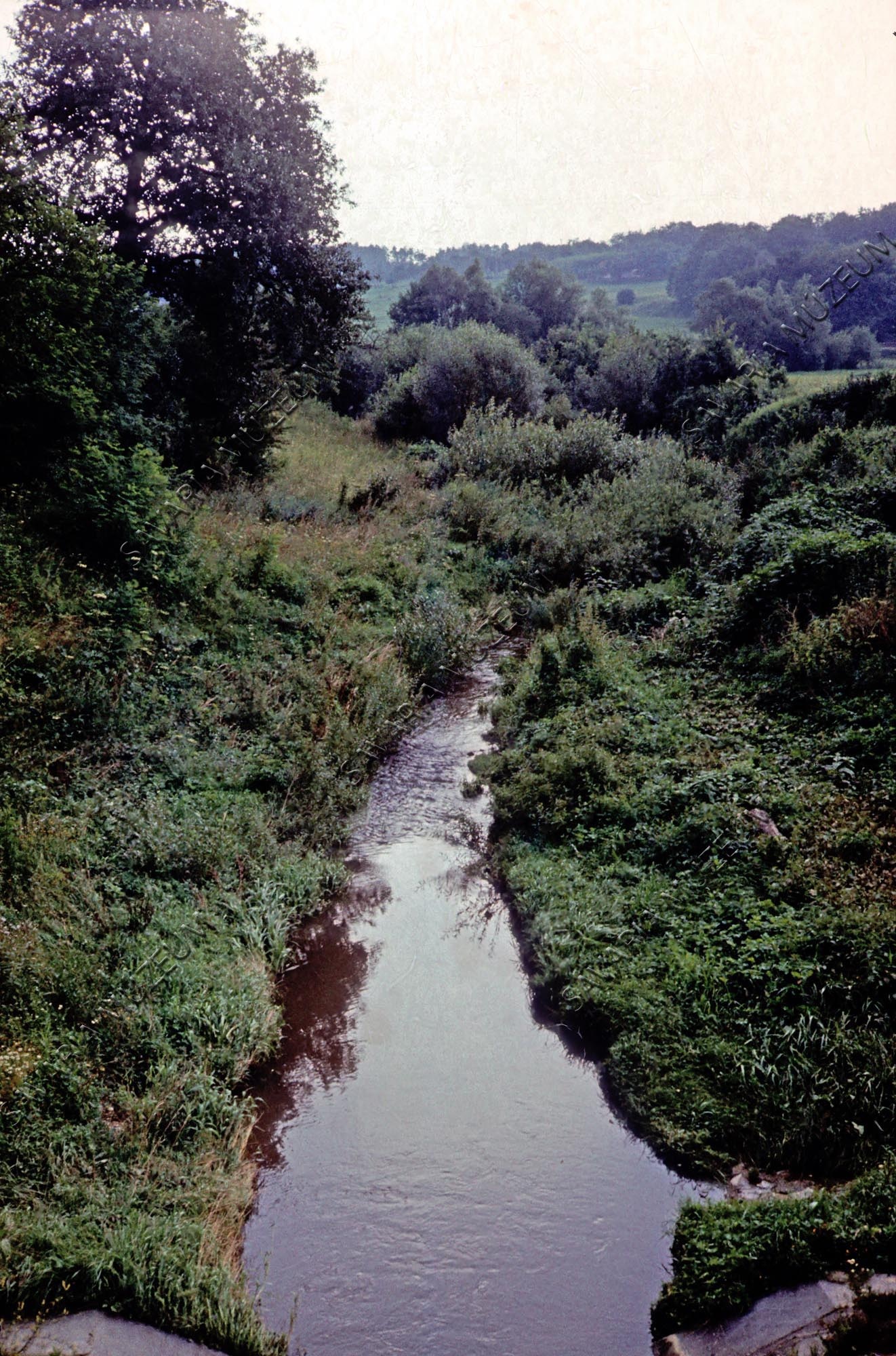 Zala-patak (Savaria Megyei Hatókörű Városi Múzeum, Szombathely CC BY-NC-SA)