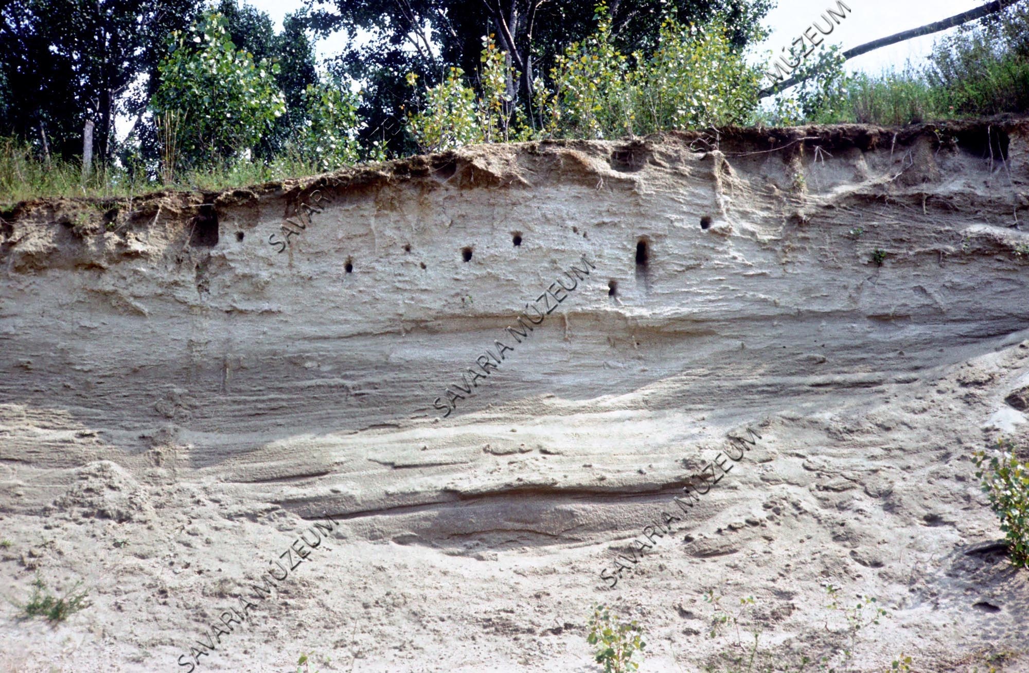 Homokfeltárás (Savaria Megyei Hatókörű Városi Múzeum, Szombathely CC BY-NC-SA)