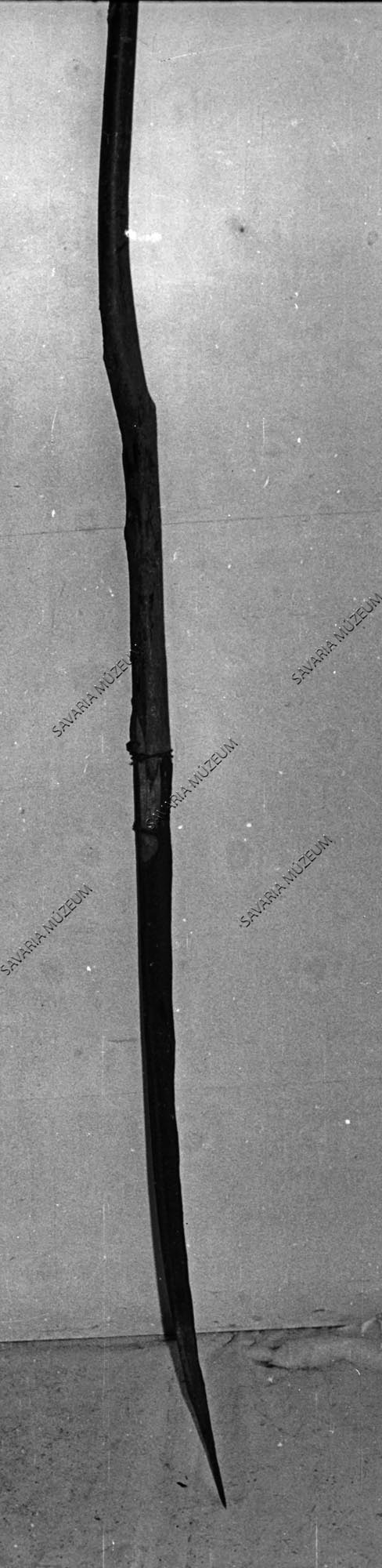 Kasza kiegyenesített (Savaria Megyei Hatókörű Városi Múzeum, Szombathely CC BY-NC-SA)