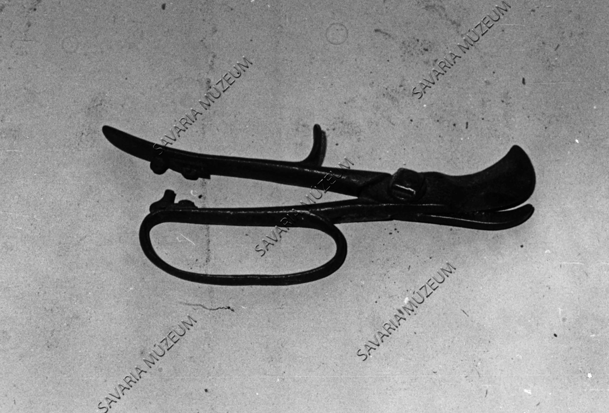 Bokornyíró olló (Savaria Megyei Hatókörű Városi Múzeum, Szombathely CC BY-NC-SA)