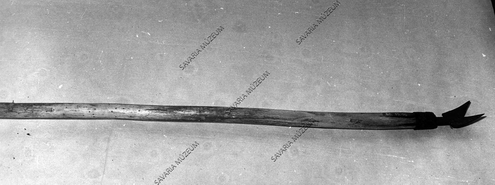 Aszottbökködő (Savaria Megyei Hatókörű Városi Múzeum, Szombathely CC BY-NC-SA)
