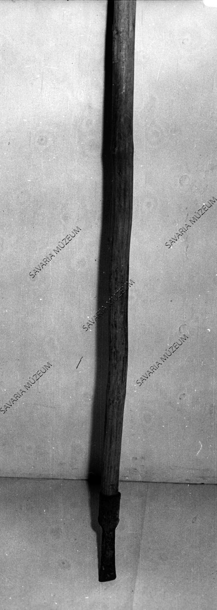 Aszottbökködő (Savaria Megyei Hatókörű Városi Múzeum, Szombathely CC BY-NC-SA)