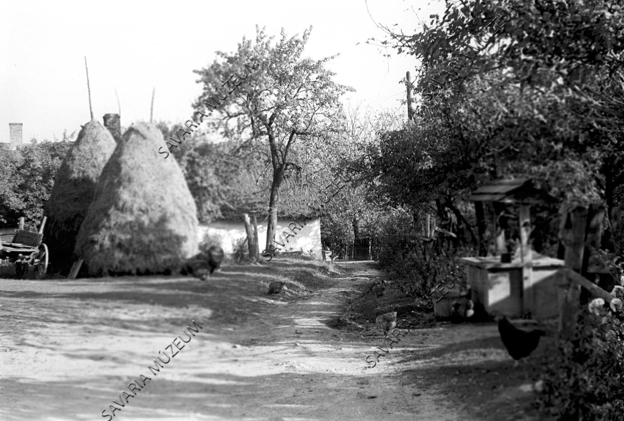 Kazlak, kút és szekér (Savaria Megyei Hatókörű Városi Múzeum, Szombathely CC BY-NC-SA)