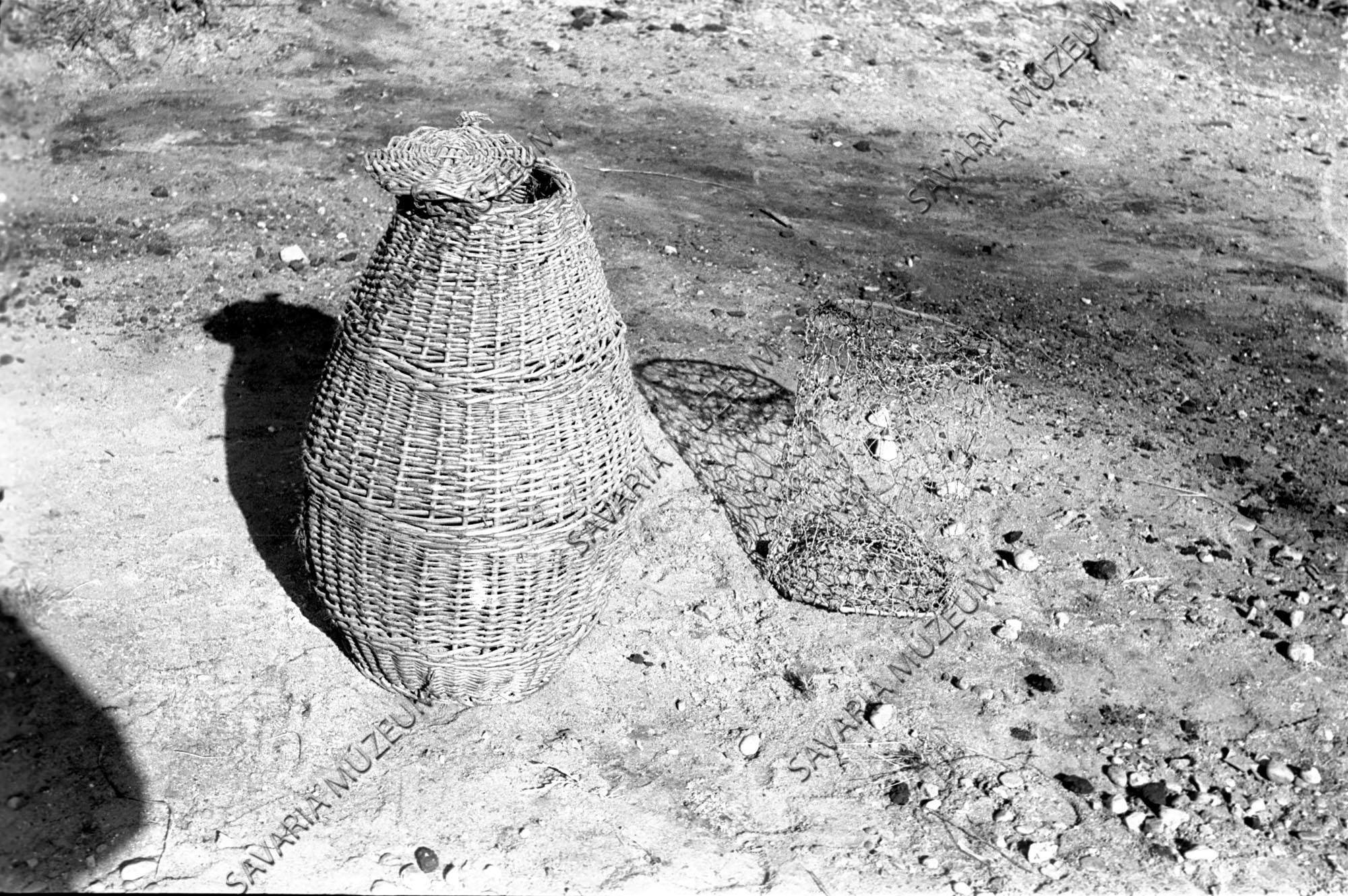 Haltartó és pézsmavarsa (Savaria Megyei Hatókörű Városi Múzeum, Szombathely CC BY-NC-SA)