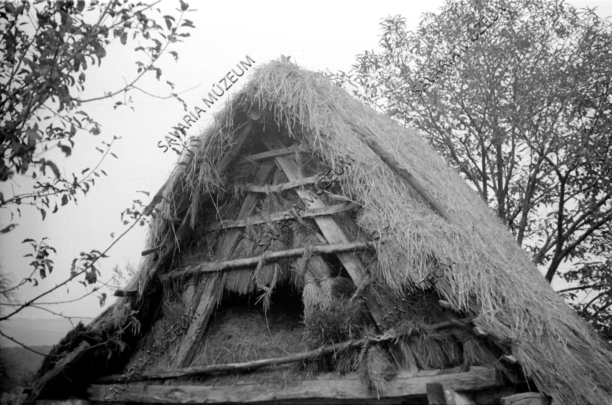 Pince tetőszerkezete (Savaria Megyei Hatókörű Városi Múzeum, Szombathely CC BY-NC-SA)