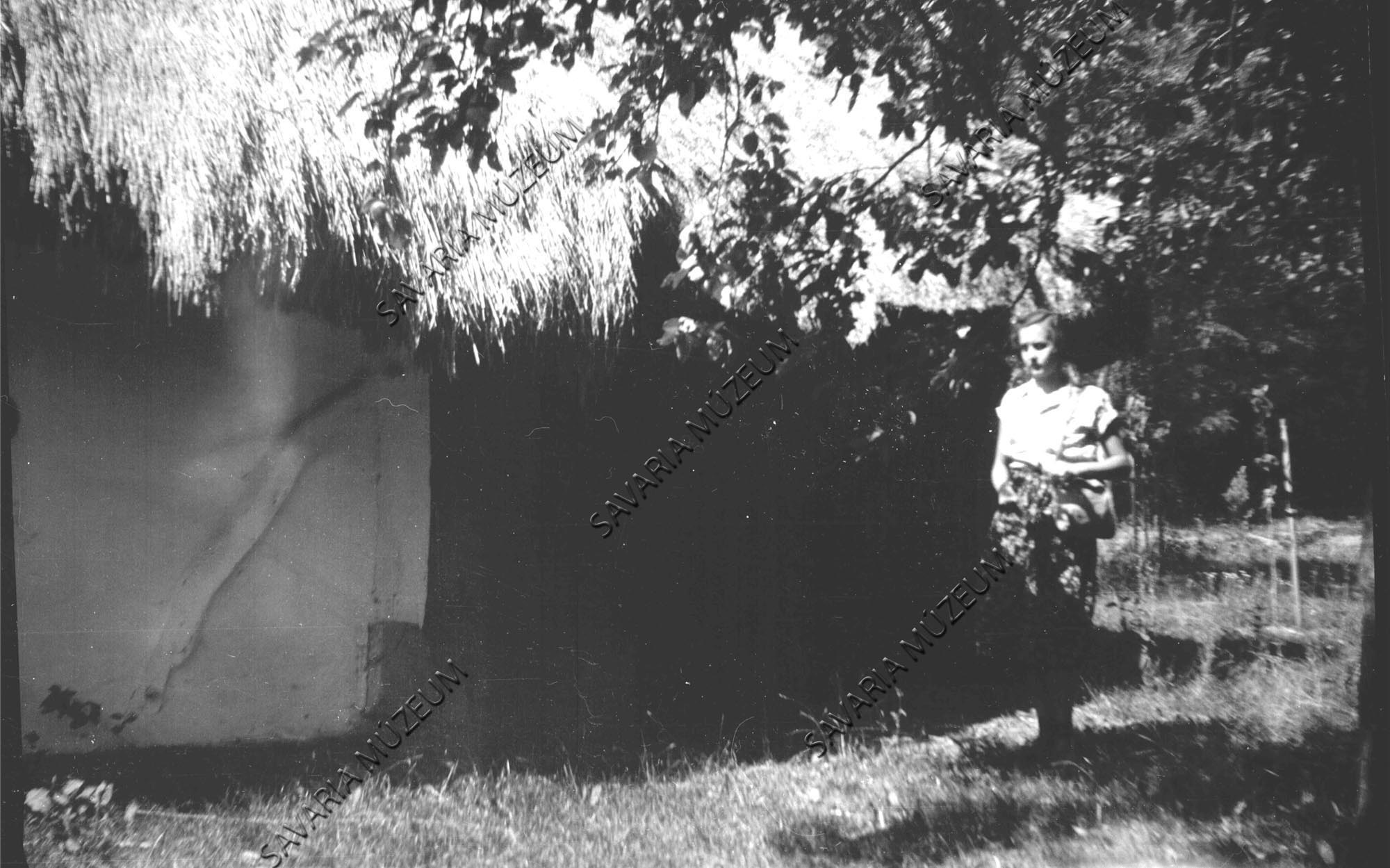 Sövényfalu pince (részlet) (Savaria Megyei Hatókörű Városi Múzeum, Szombathely CC BY-NC-SA)