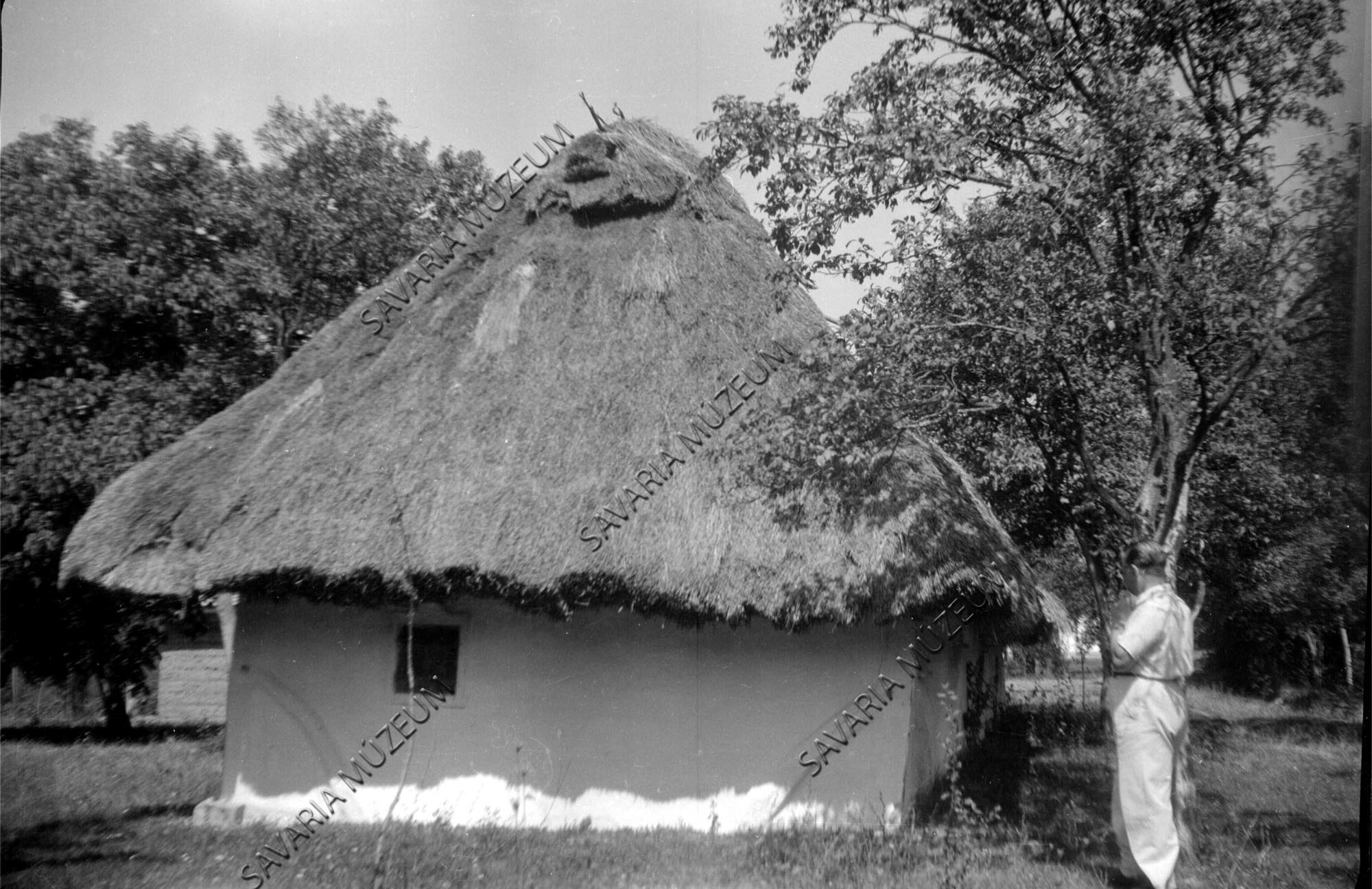 Zsuppos tetejű pince (Savaria Megyei Hatókörű Városi Múzeum, Szombathely CC BY-NC-SA)
