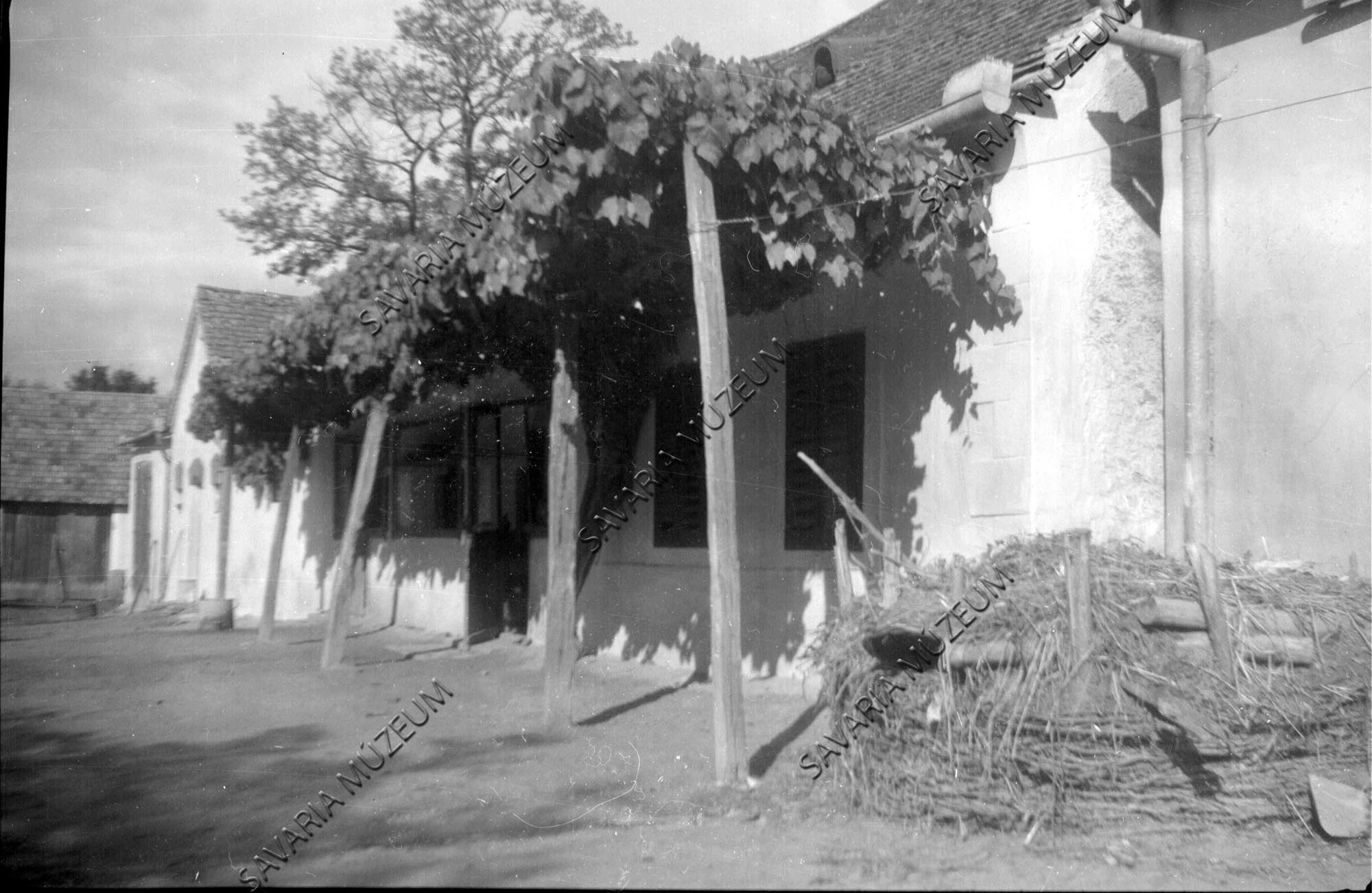 Ház előtti szőlőlugas (Savaria Megyei Hatókörű Városi Múzeum, Szombathely CC BY-NC-SA)