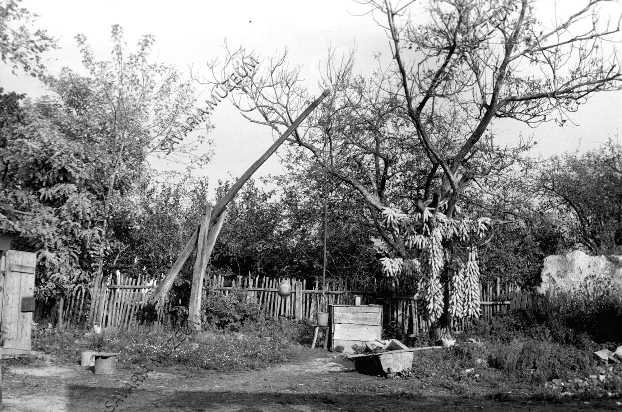 Gémeskút és kukoricafüzérek (Savaria Megyei Hatókörű Városi Múzeum, Szombathely CC BY-NC-SA)
