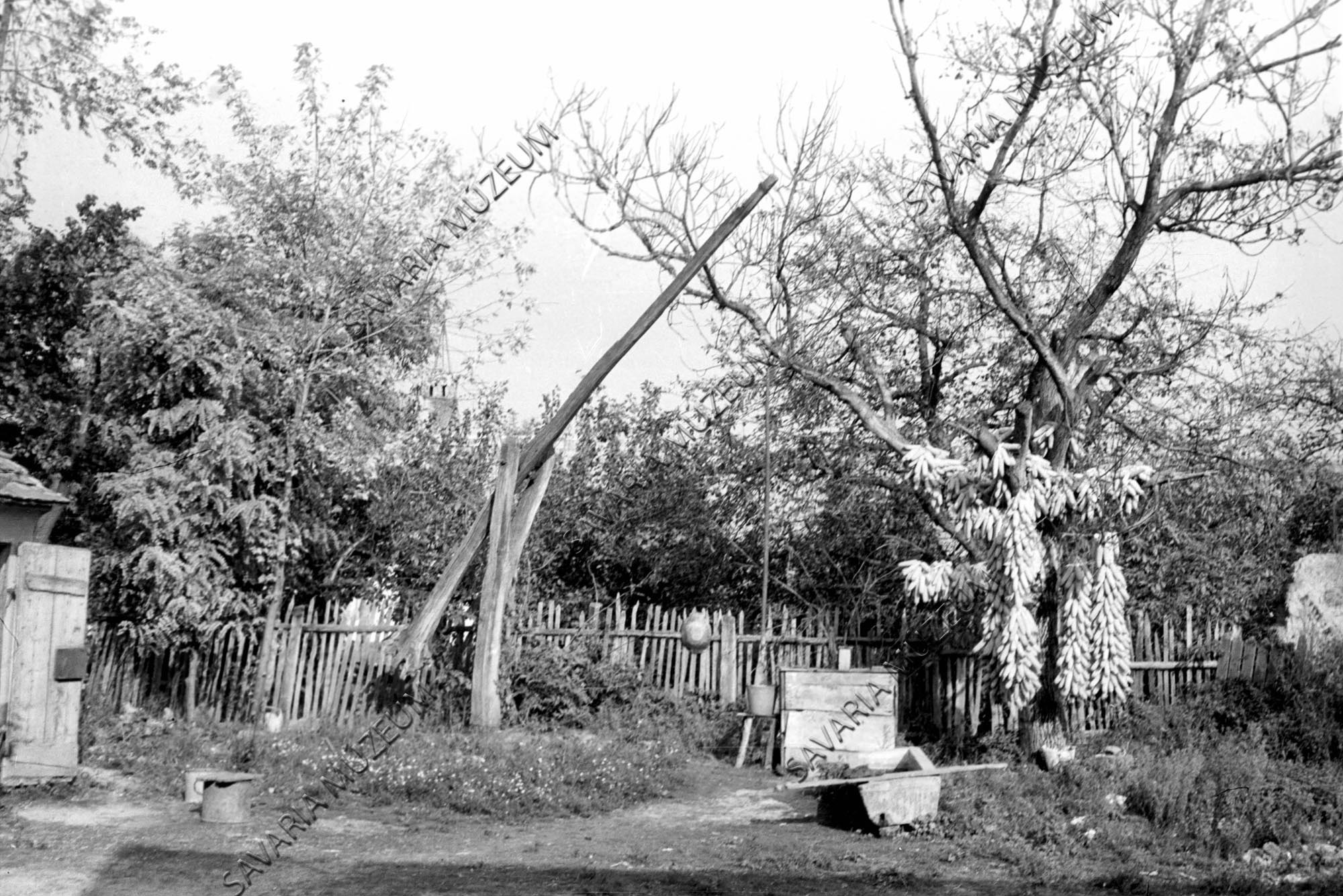 Gémeskút és kukoricafüzérek (Savaria Megyei Hatókörű Városi Múzeum, Szombathely CC BY-NC-SA)