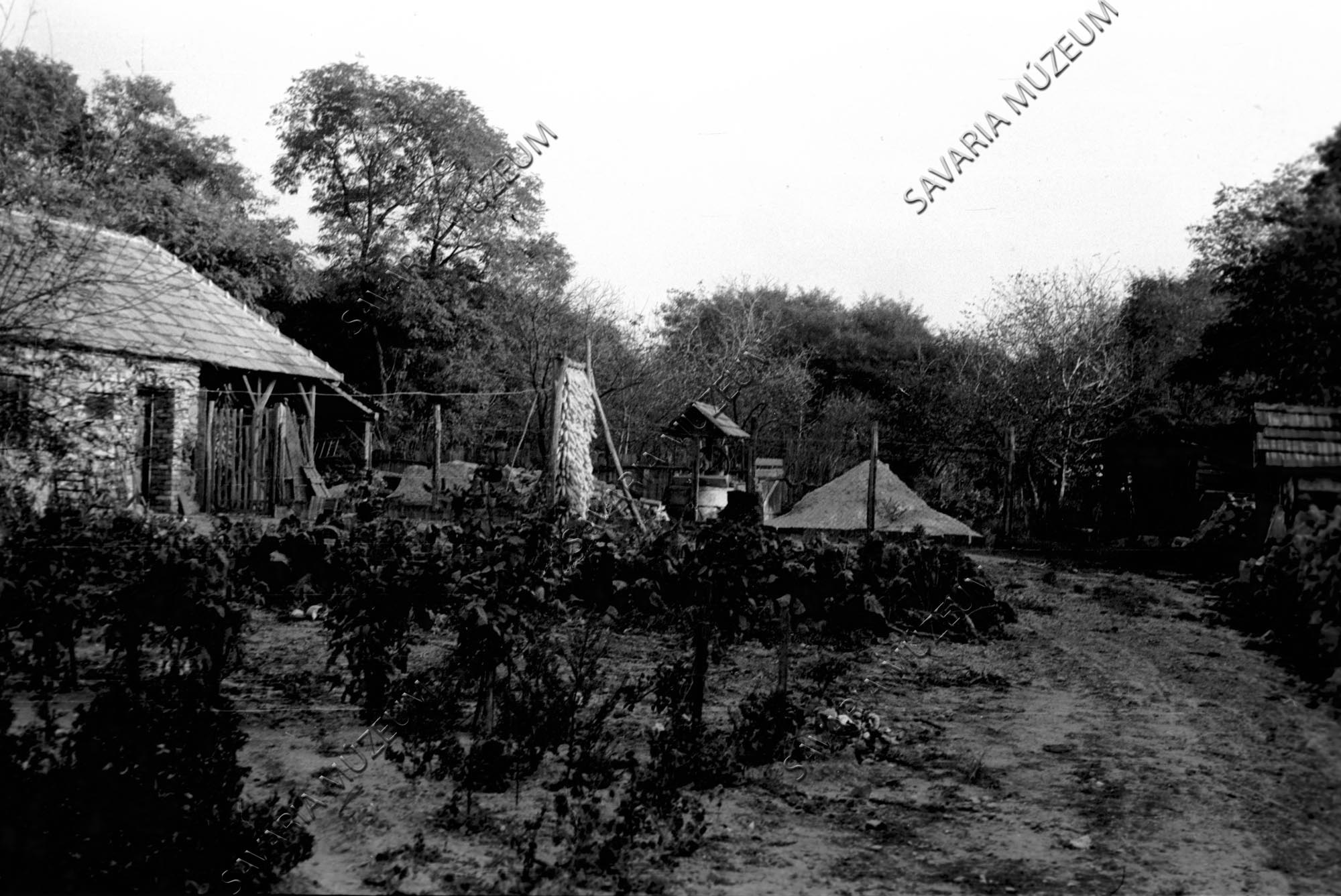Kút és kukoricafüzérek (Savaria Megyei Hatókörű Városi Múzeum, Szombathely CC BY-NC-SA)
